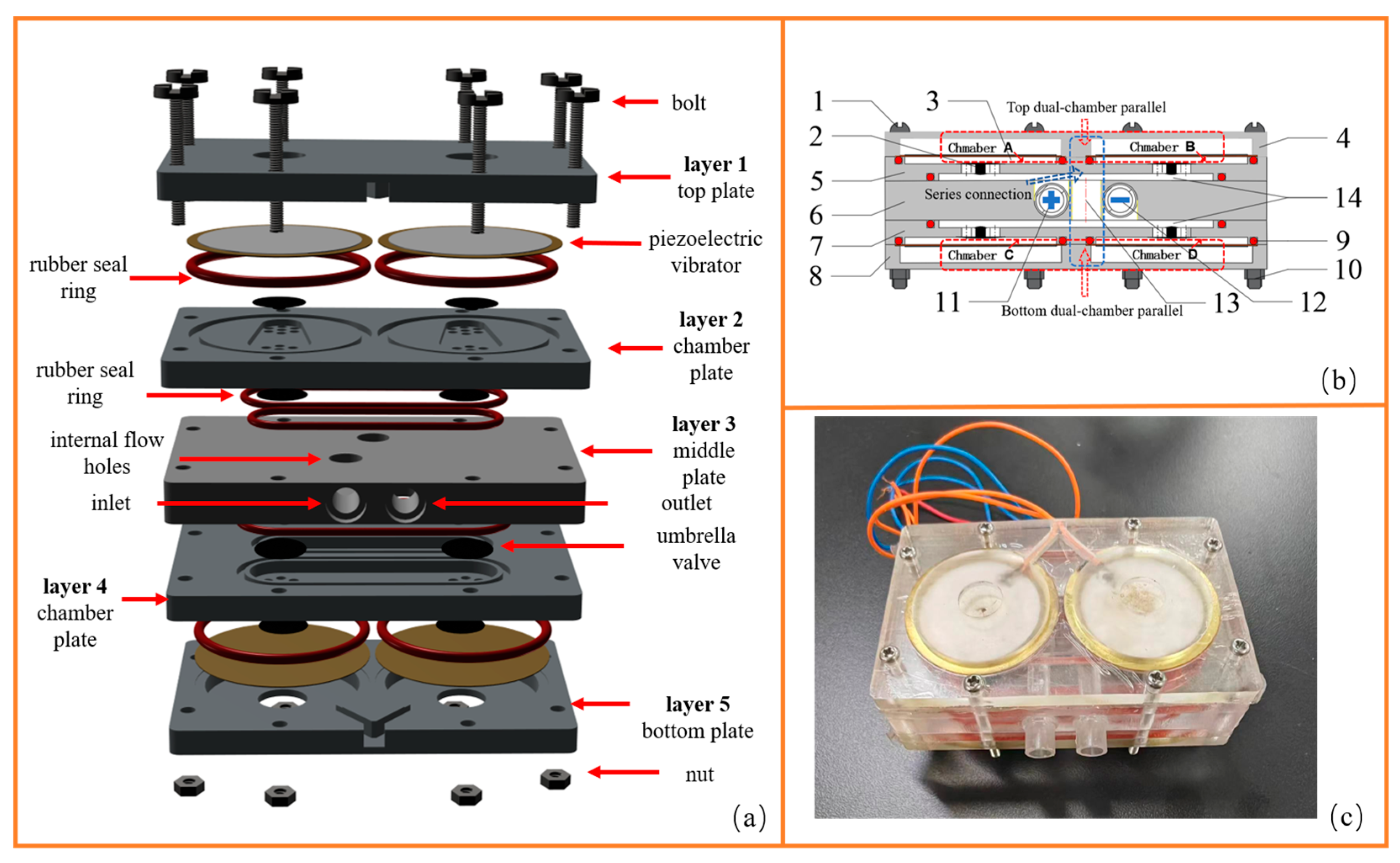 Coatings 14 01348 g001