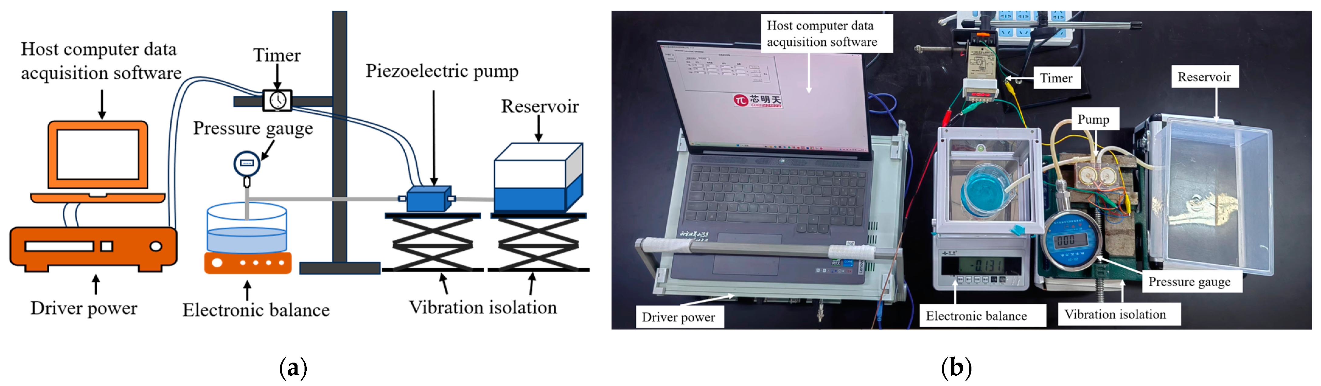 Coatings 14 01348 g005