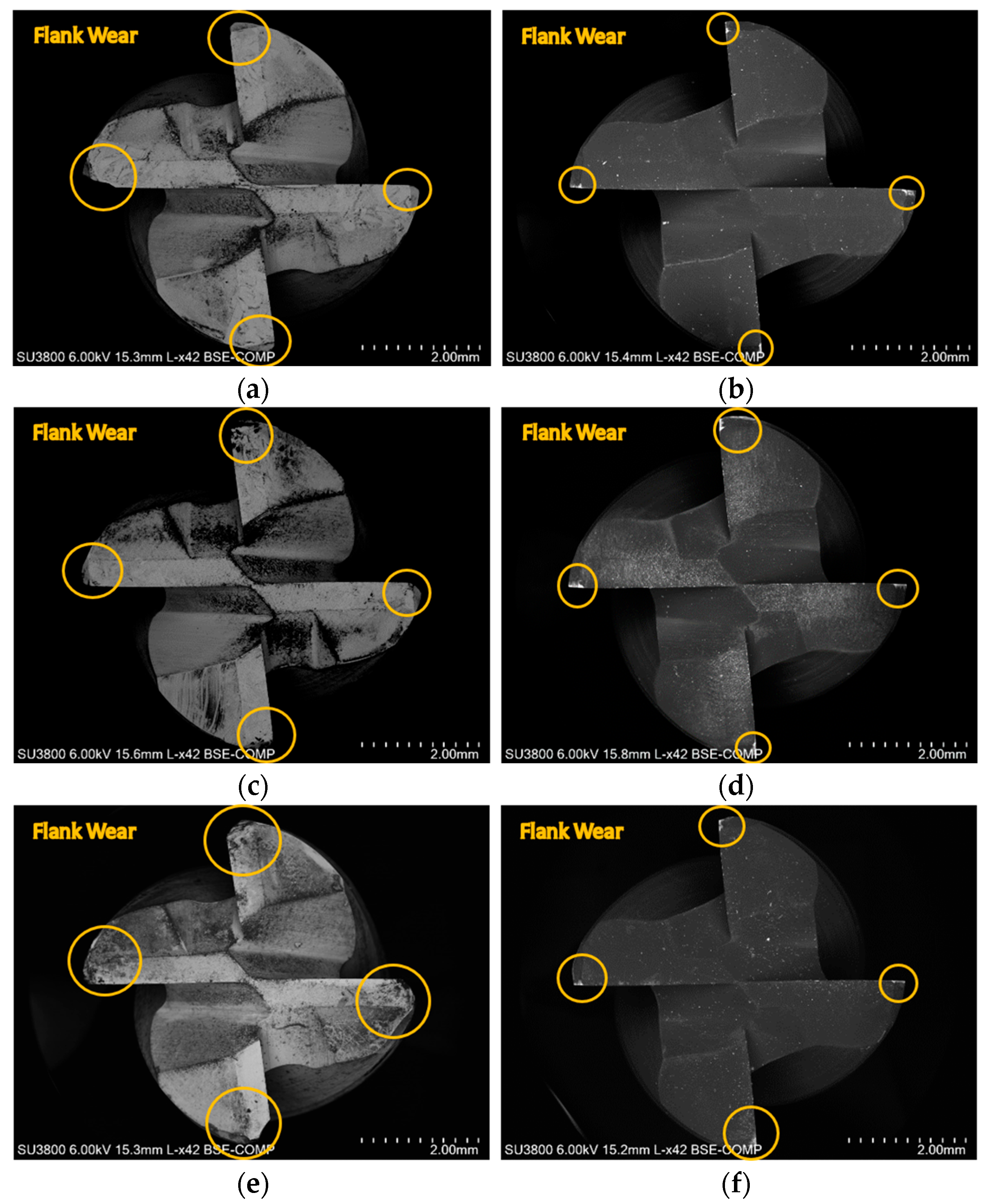 Coatings 14 01354 g004