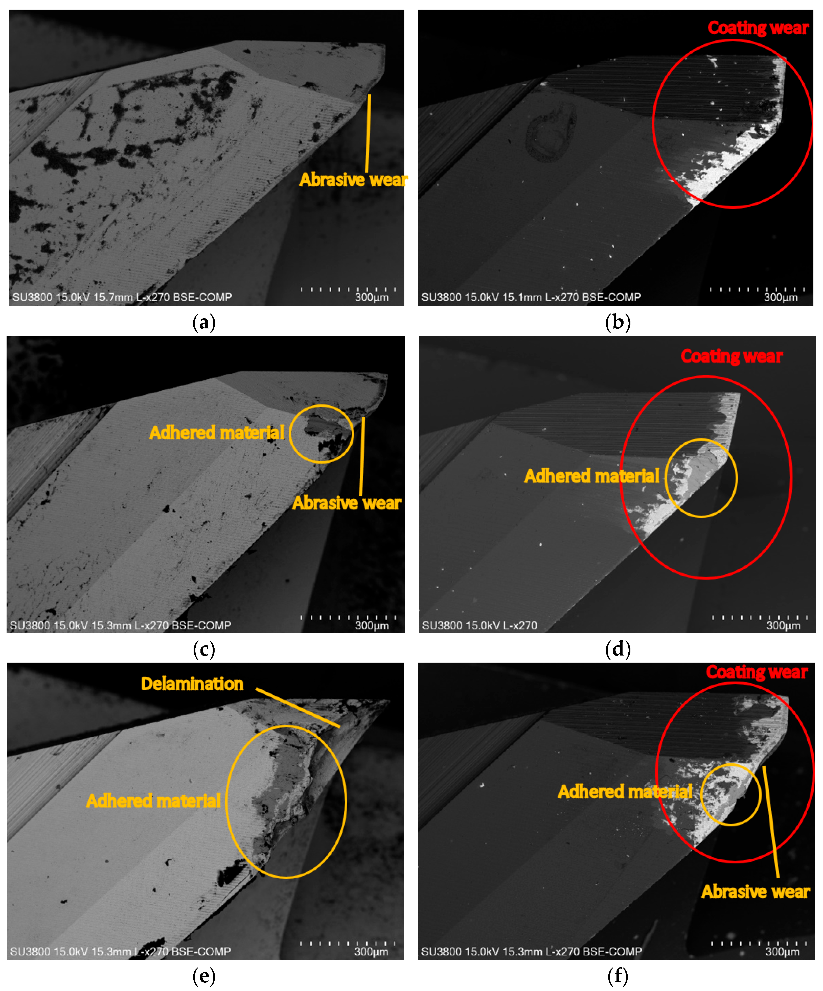 Coatings 14 01354 g005