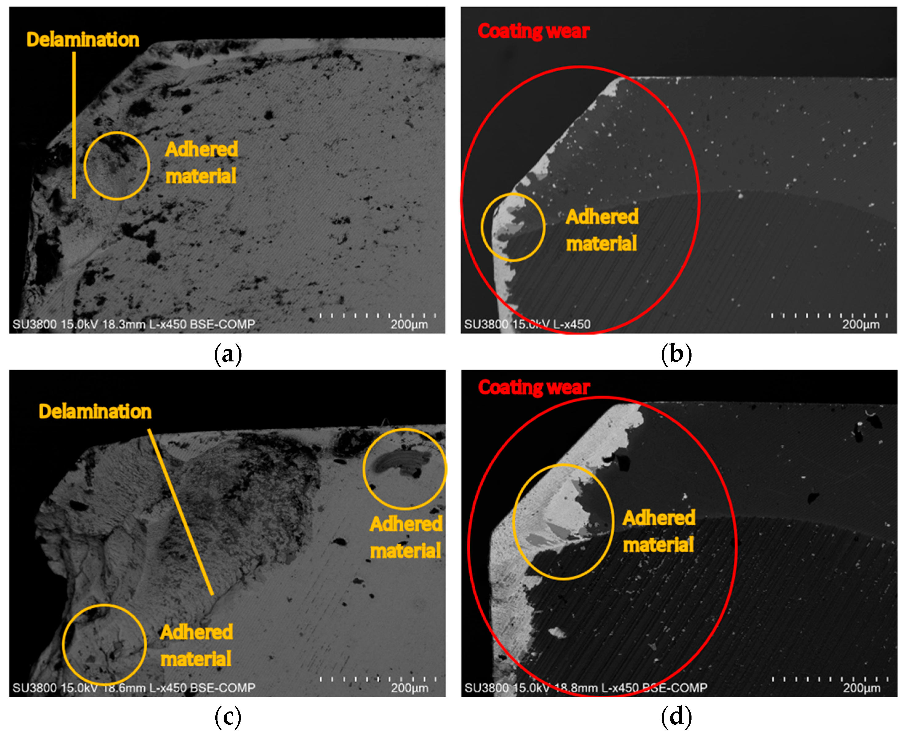 Coatings 14 01354 g006
