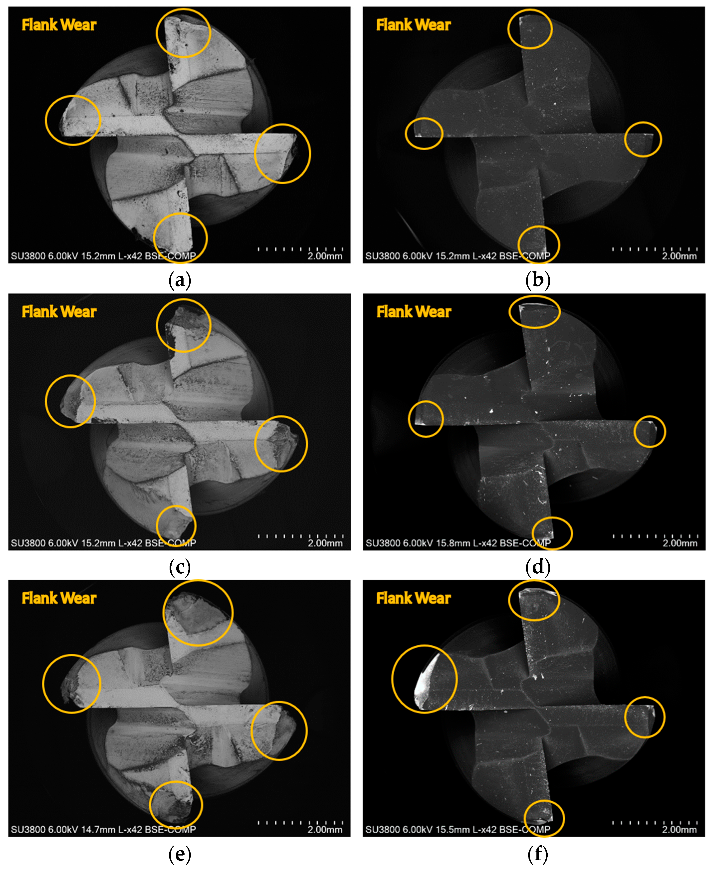 Coatings 14 01354 g007