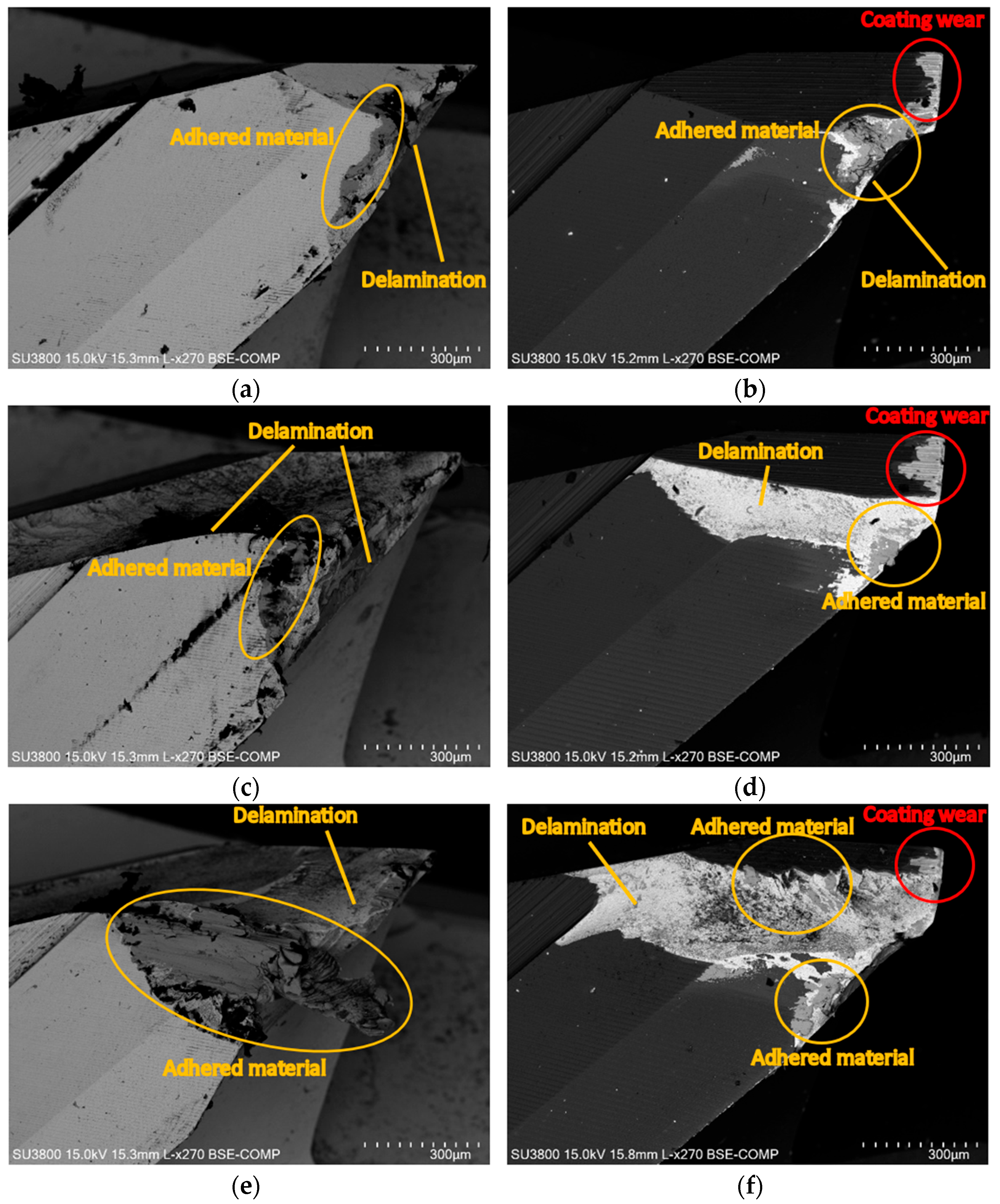 Coatings 14 01354 g008