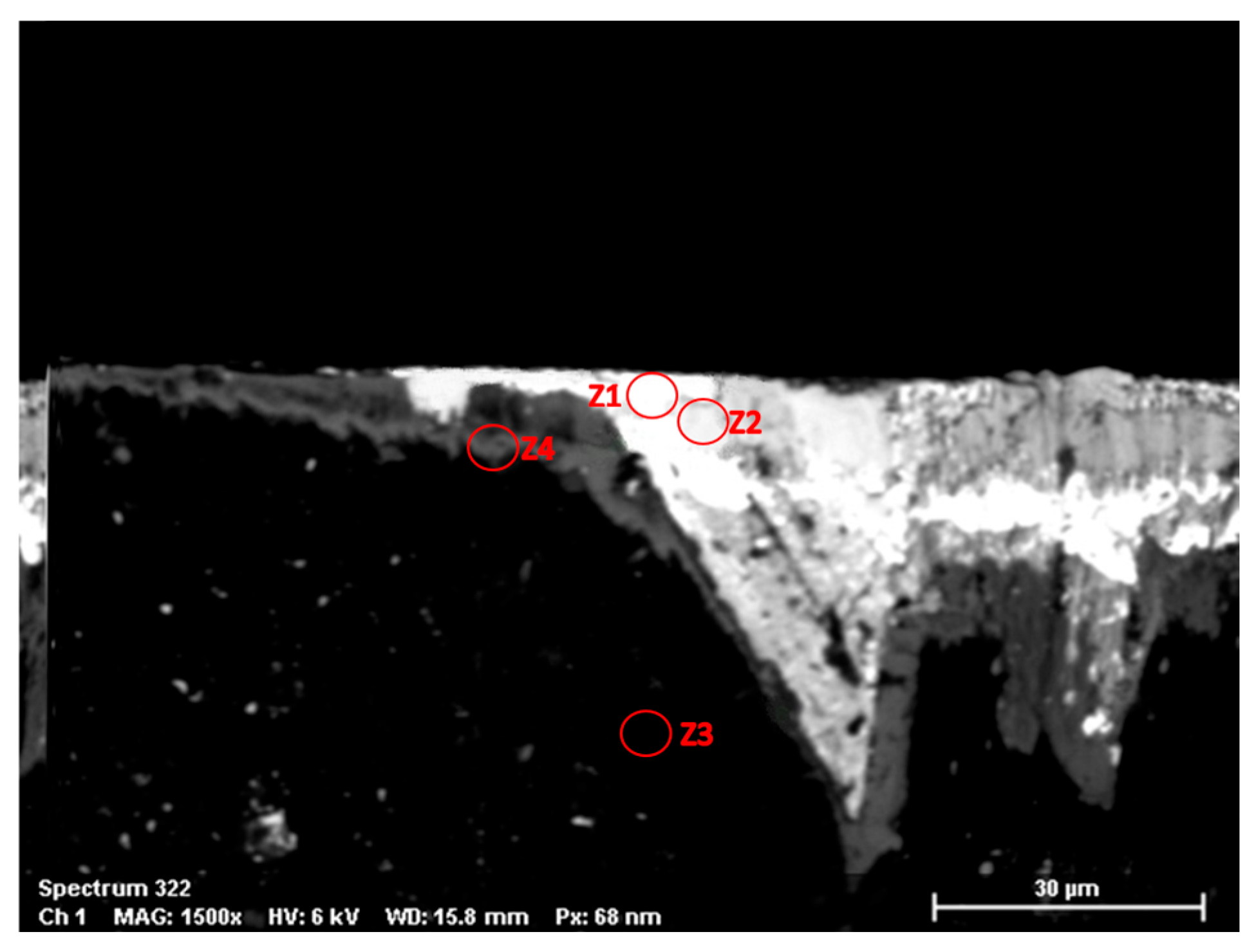 Coatings 14 01354 g010