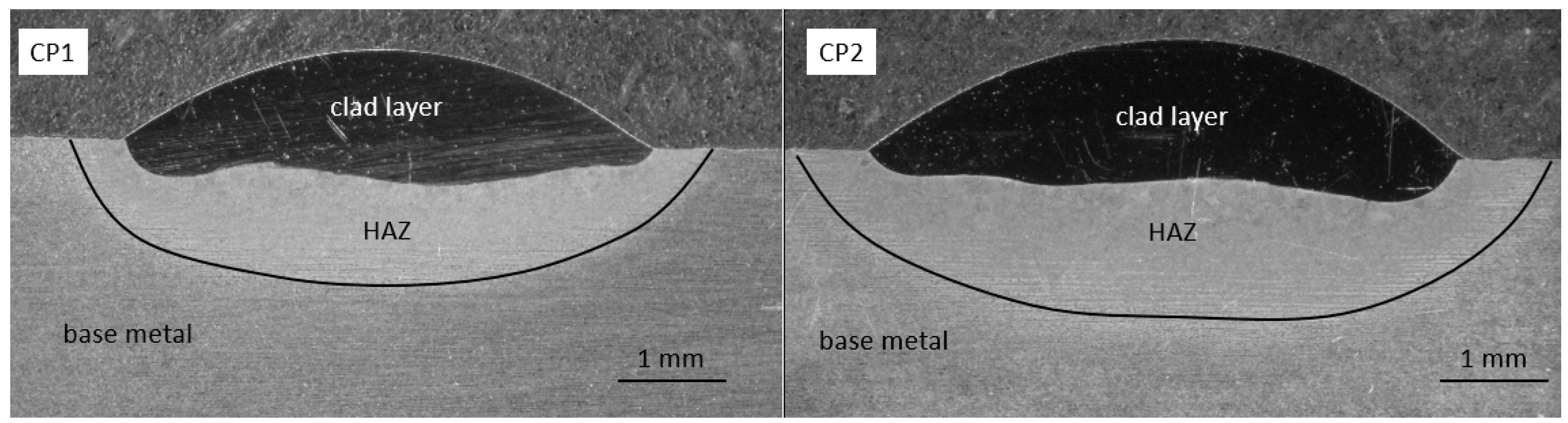 Coatings 14 01356 g003