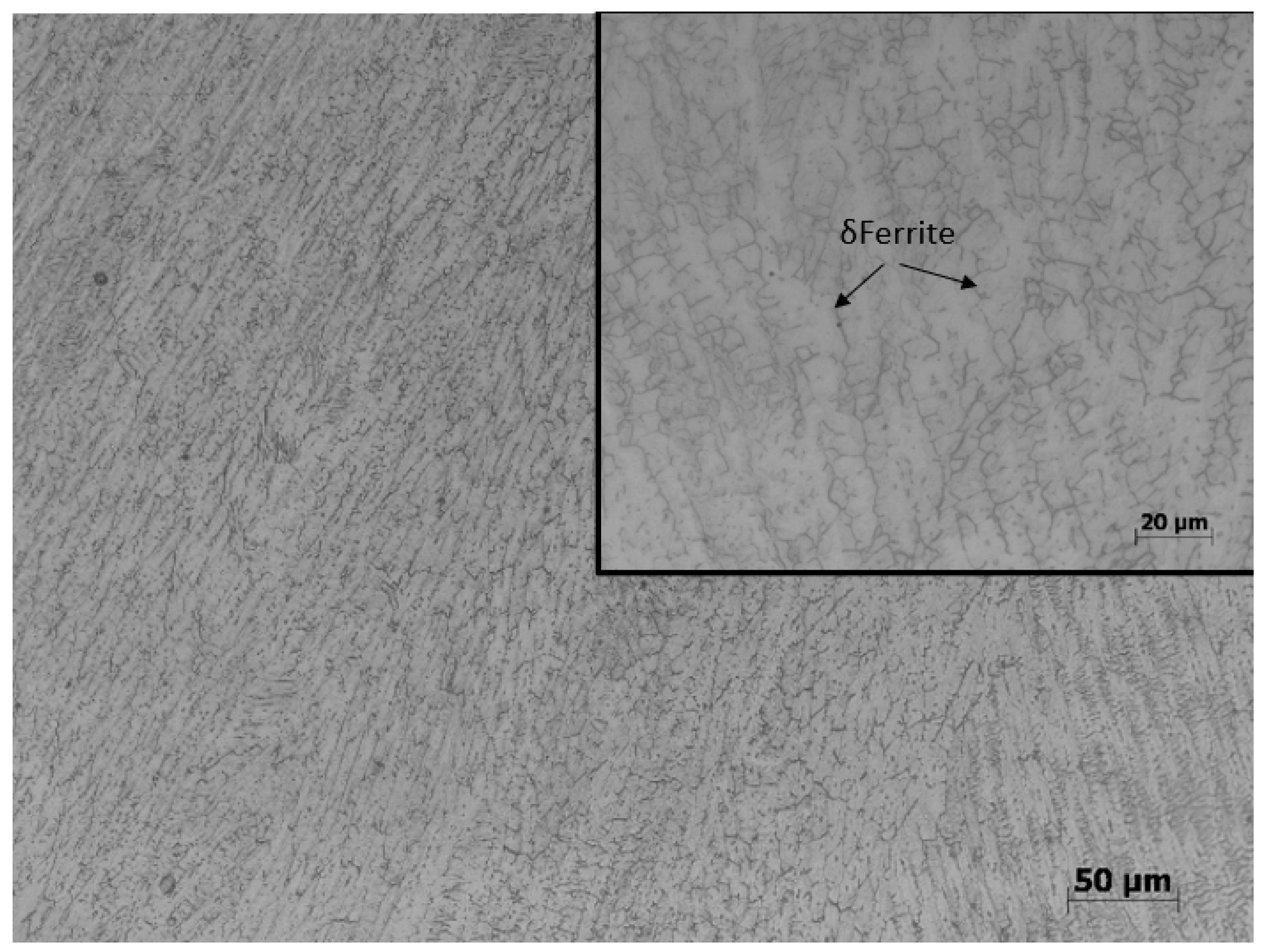 Coatings 14 01356 g005