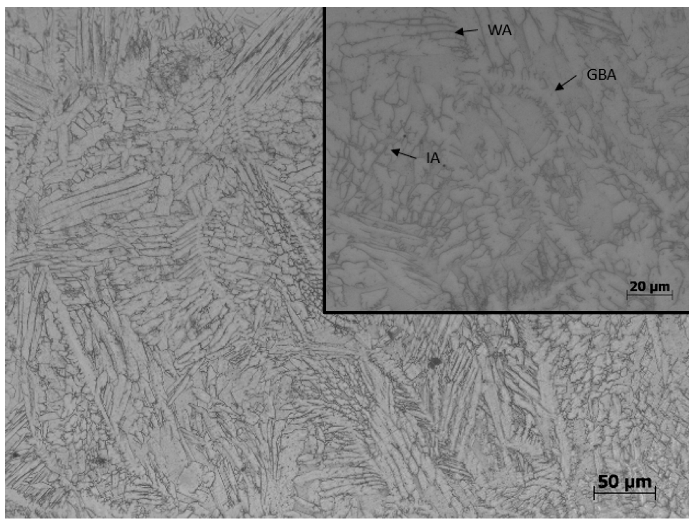 Coatings 14 01356 g006