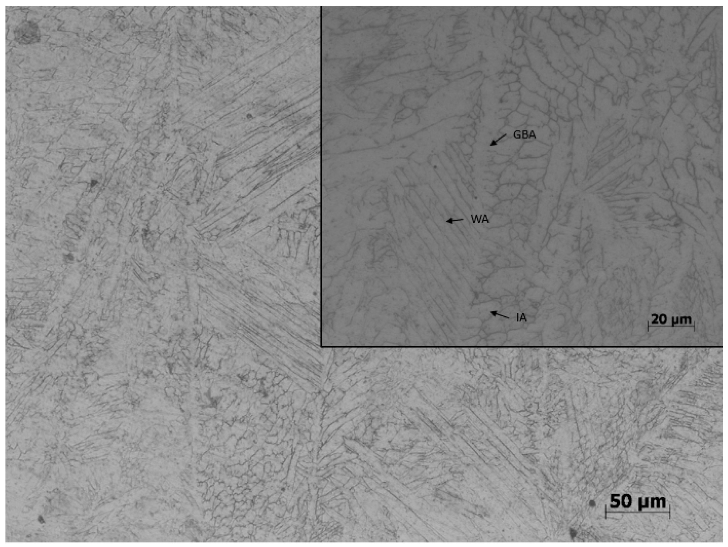 Coatings 14 01356 g009