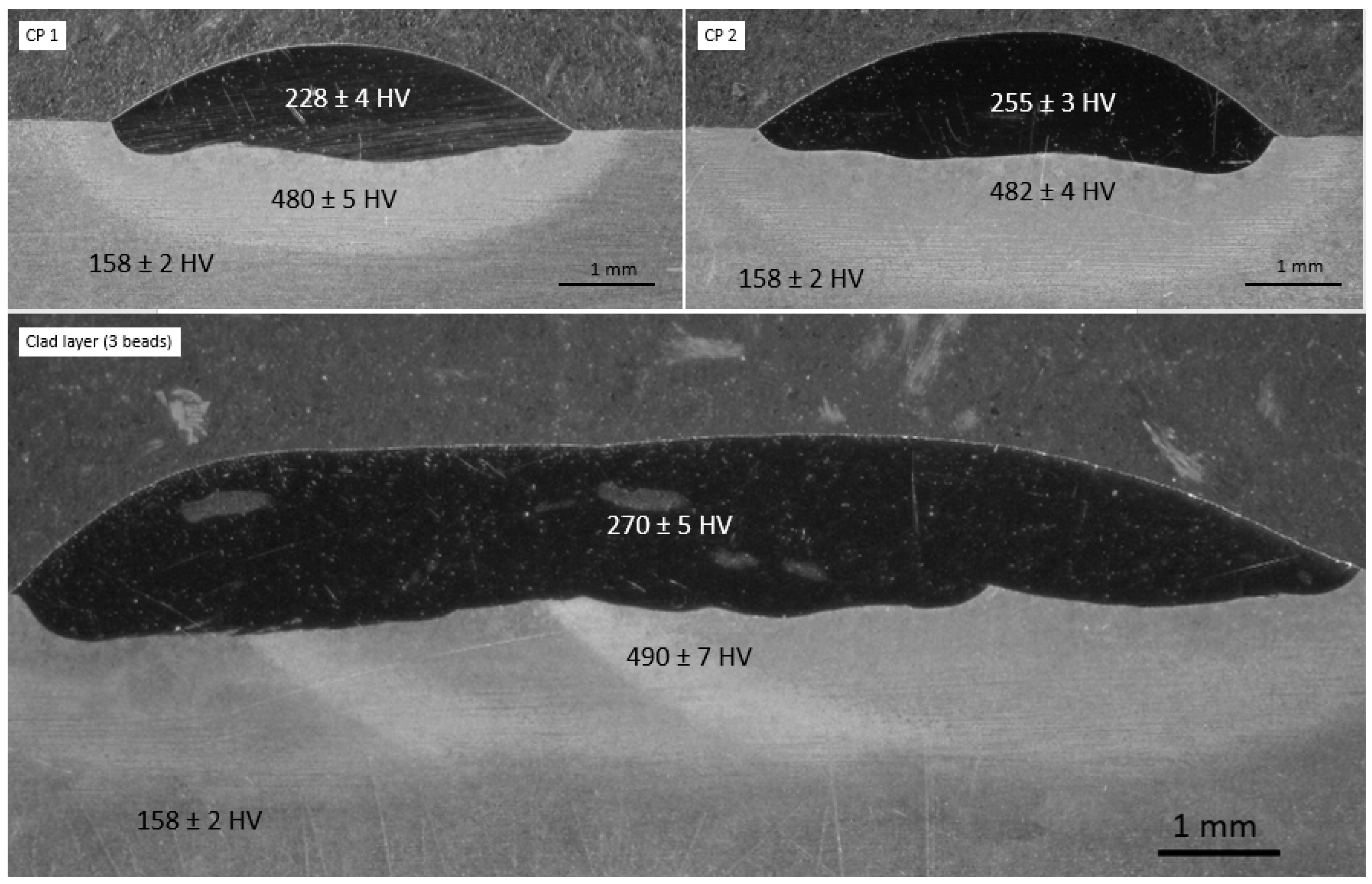Coatings 14 01356 g010