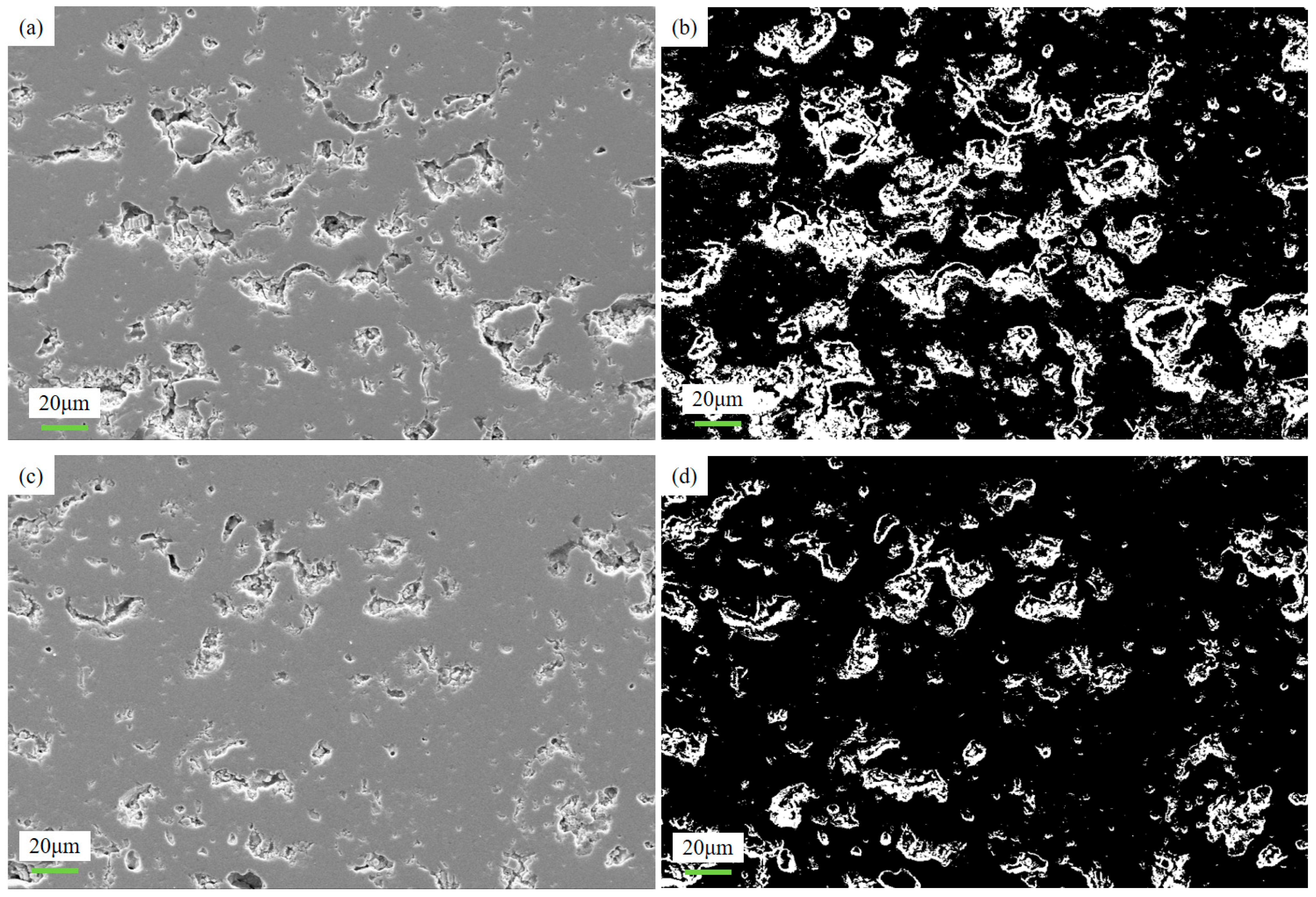 Coatings 14 01357 g005