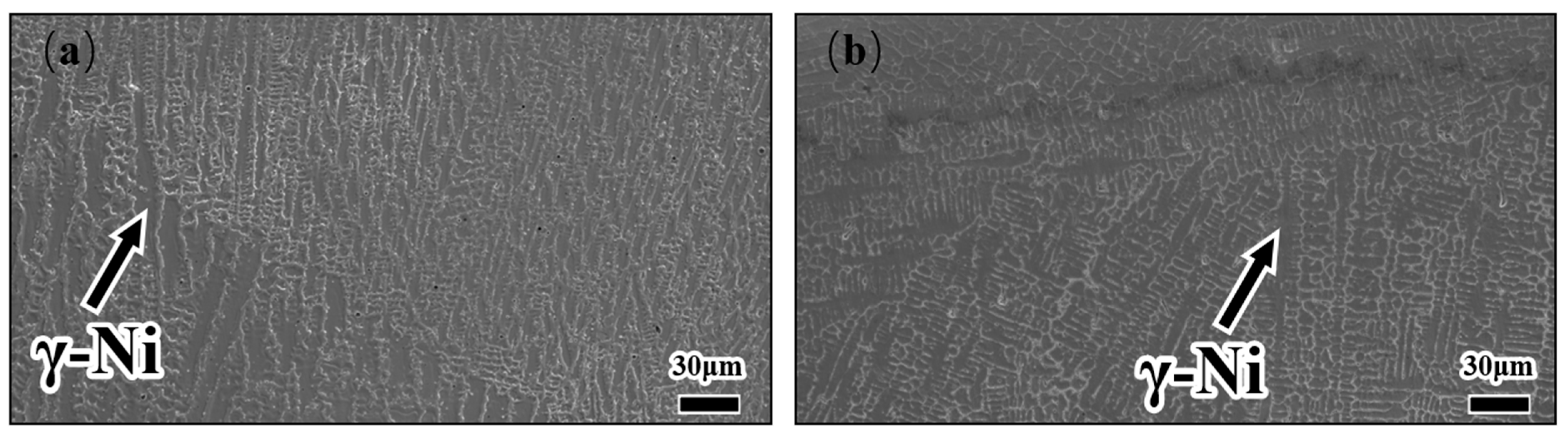 Coatings 14 01359 g007