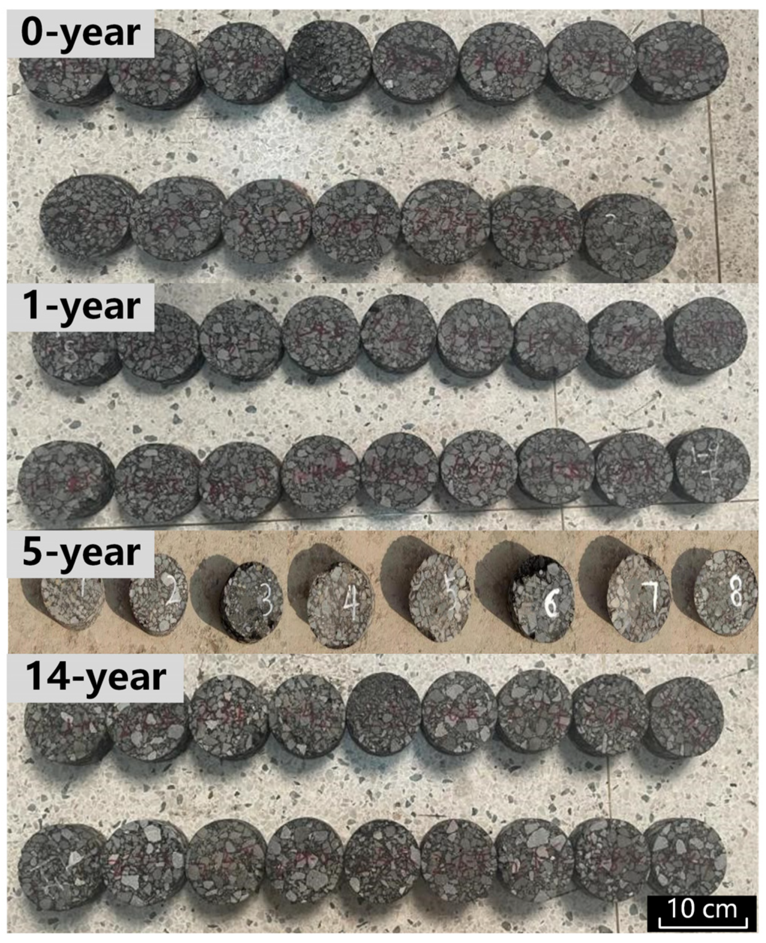 Coatings 14 01363 g004