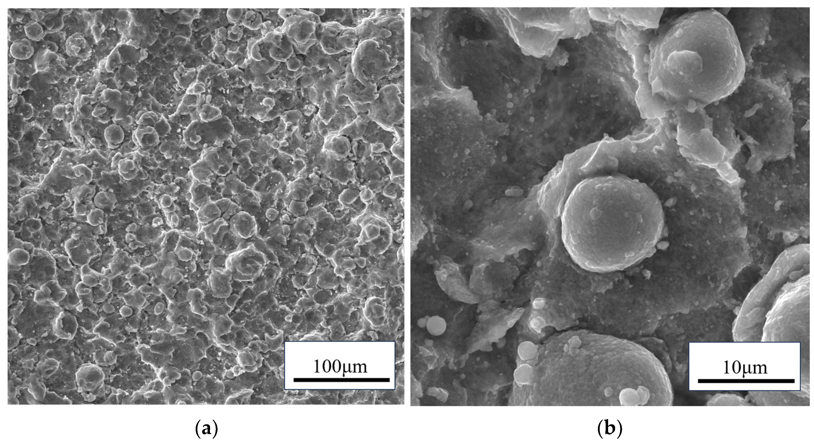 Coatings 14 01366 g003a