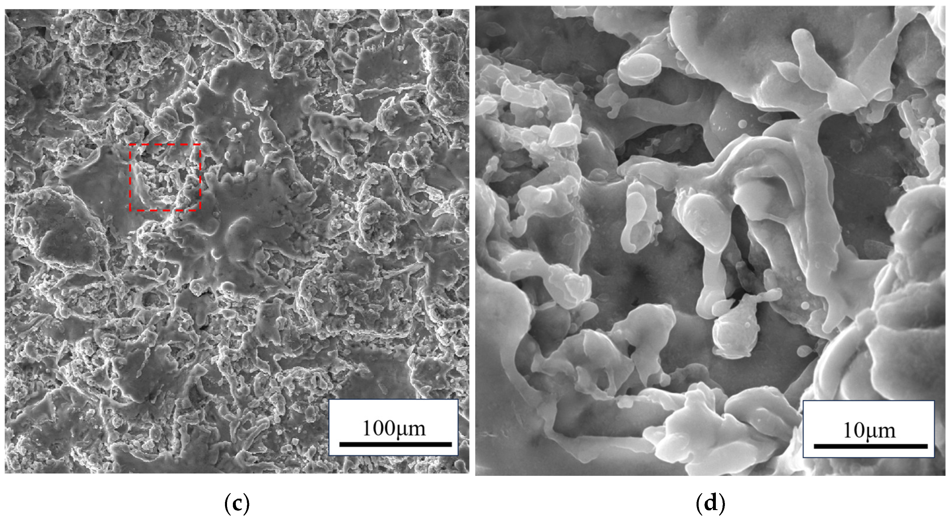 Coatings 14 01366 g003b