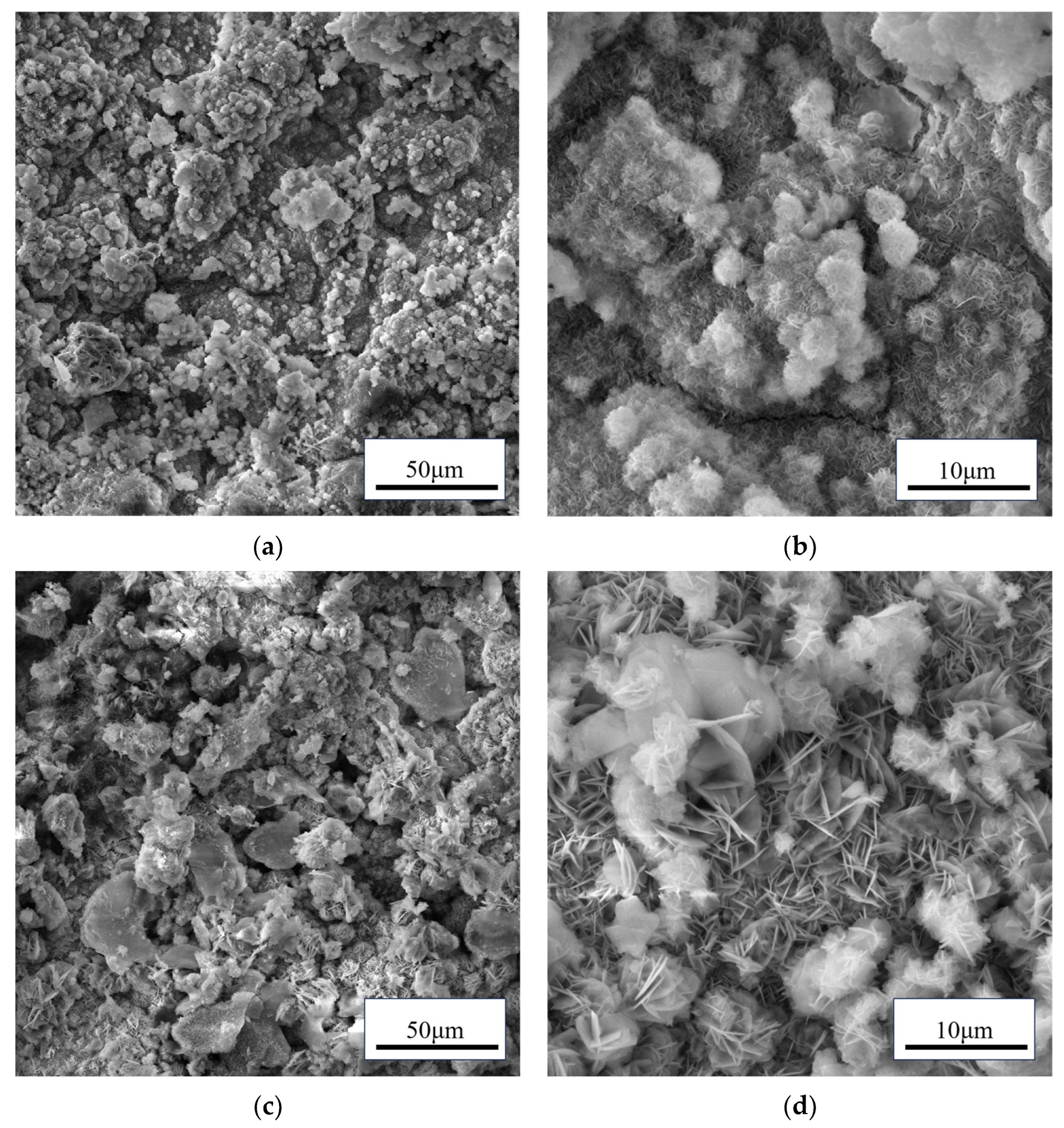 Coatings 14 01366 g006