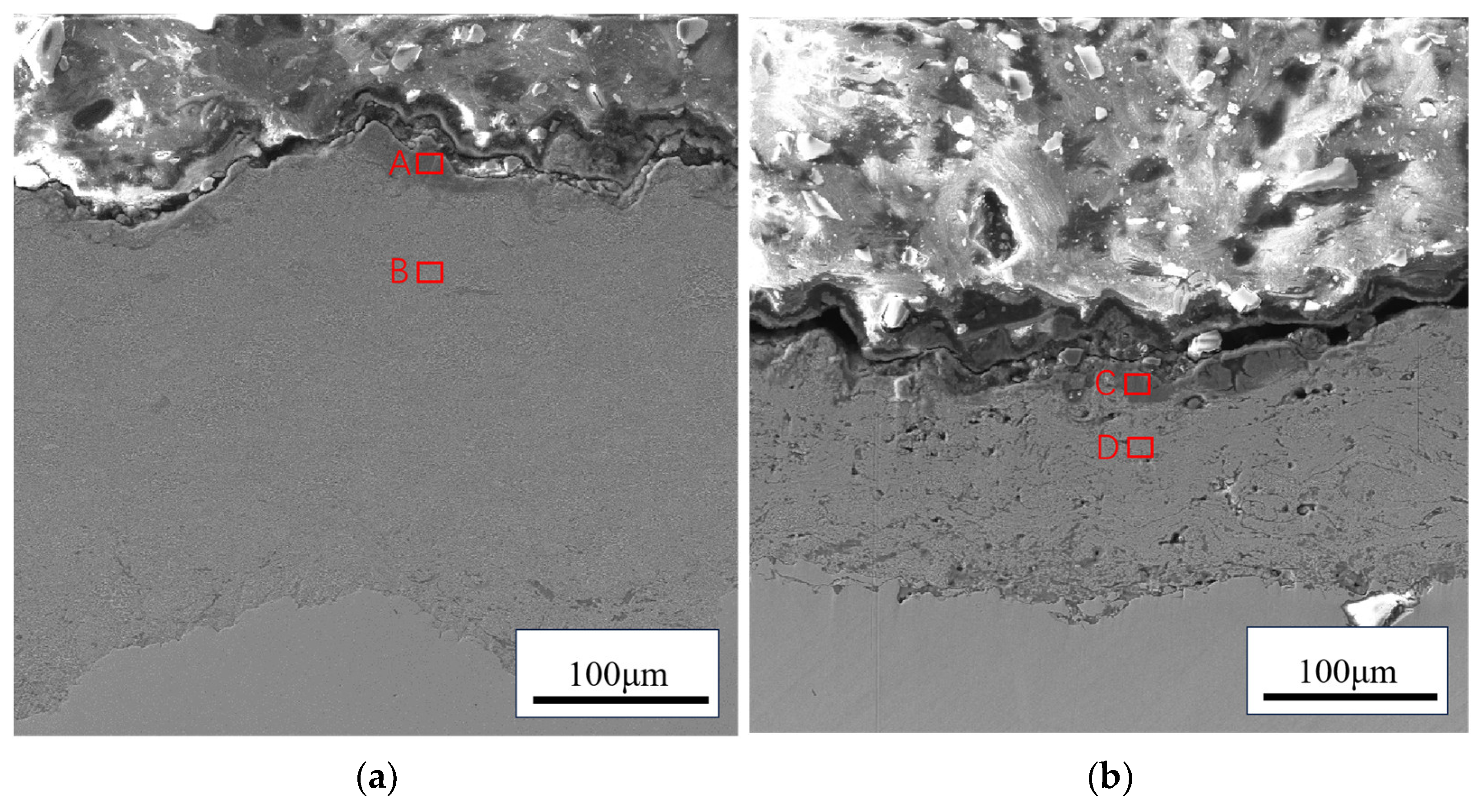 Coatings 14 01366 g007
