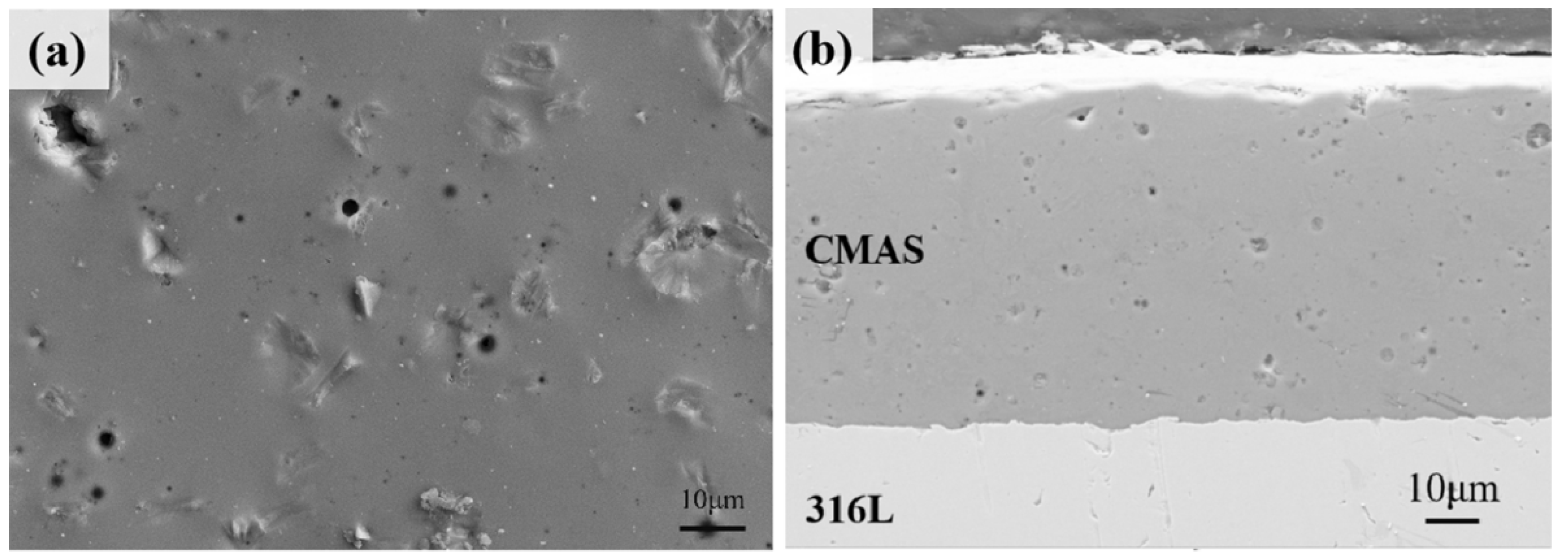 Coatings 14 01371 g002