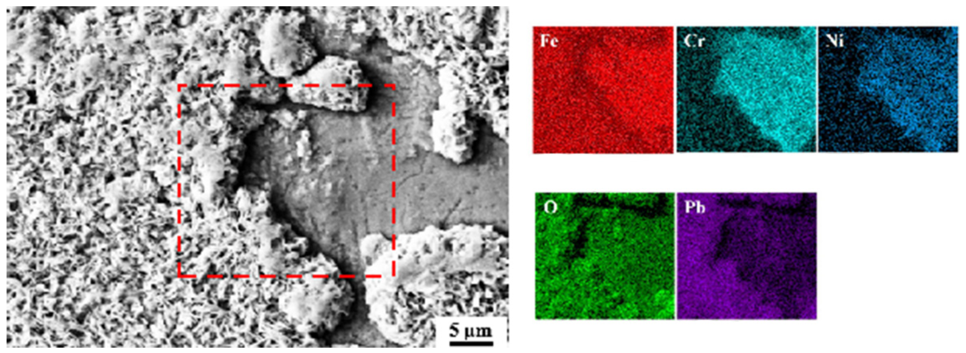 Coatings 14 01371 g006