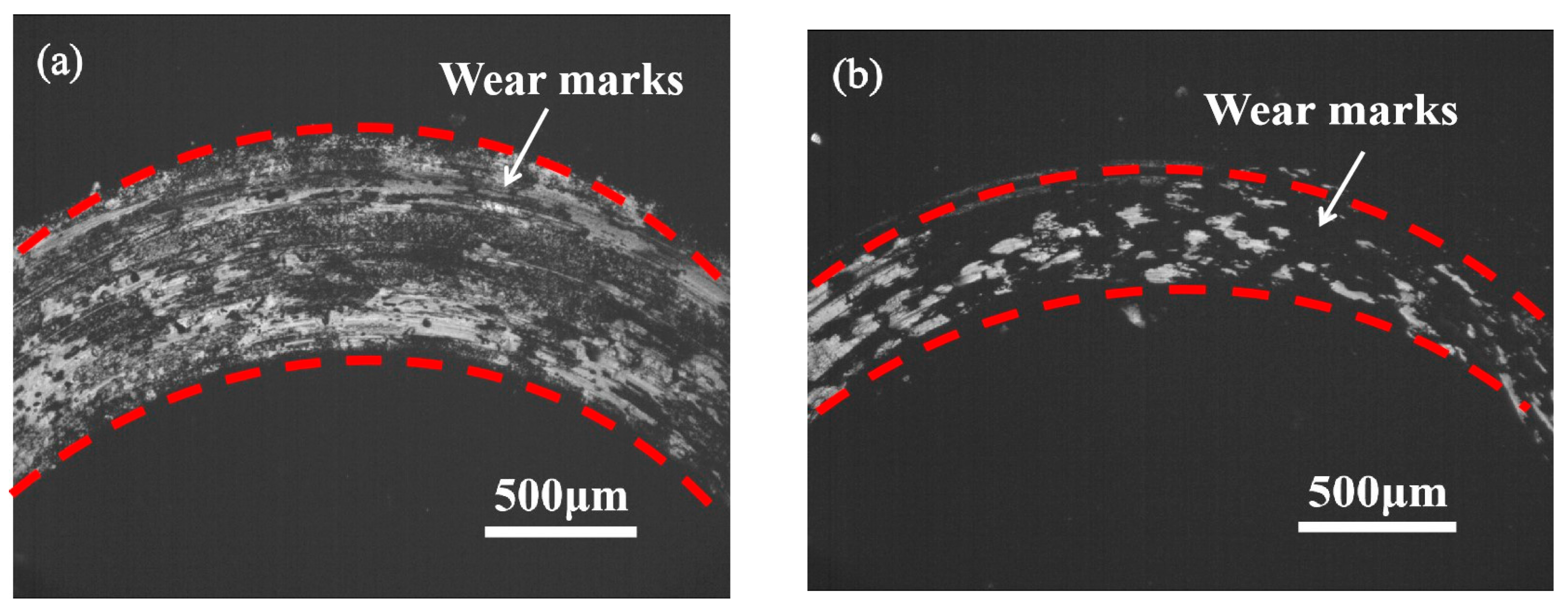 Coatings 14 01373 g007