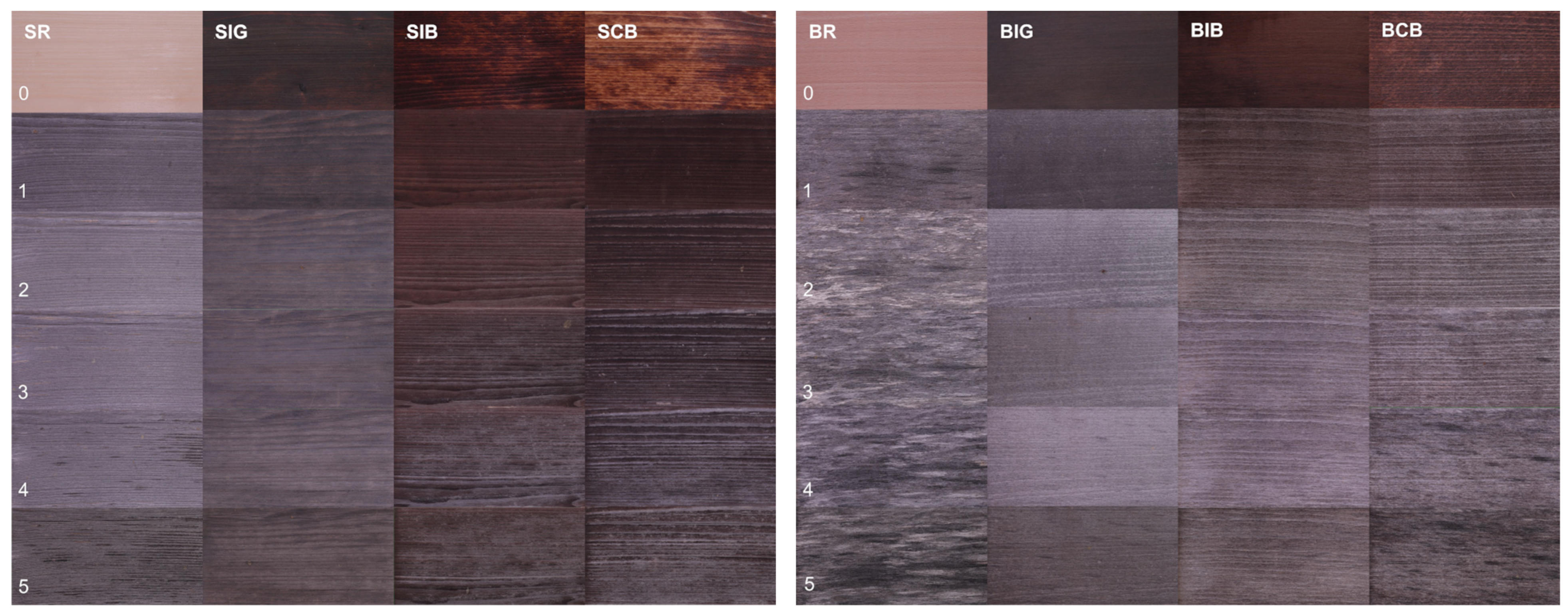 Coatings 14 01374 g002