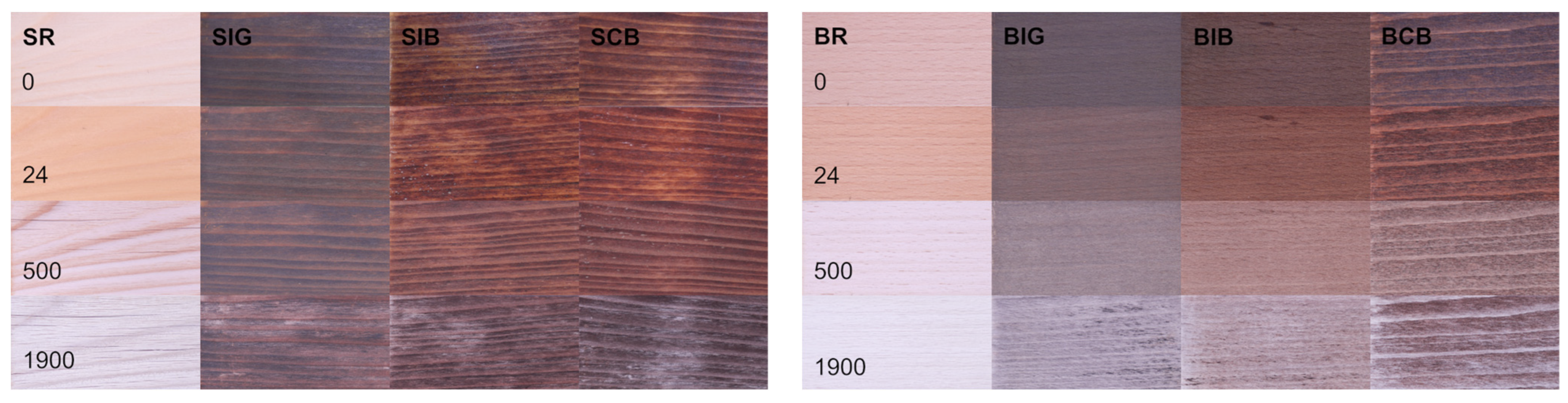 Coatings 14 01374 g003