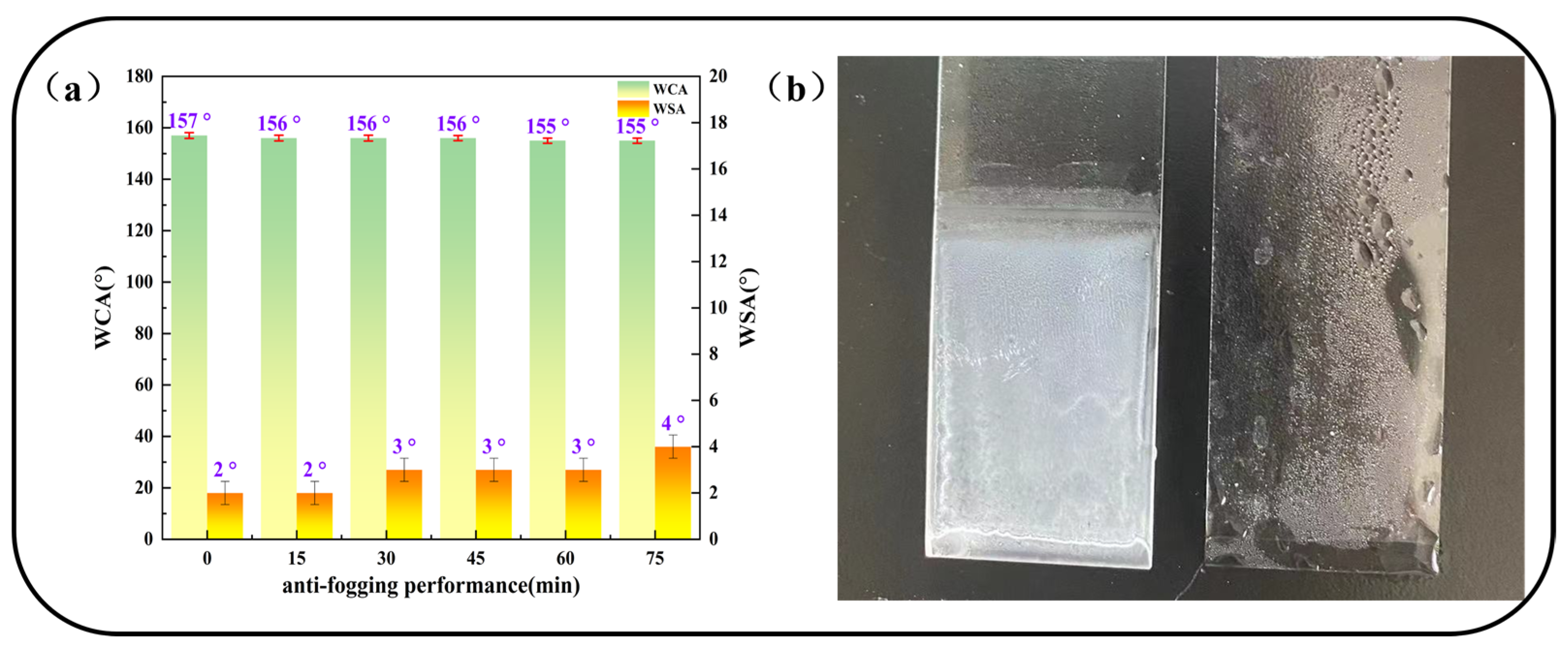 Coatings 14 01375 g014
