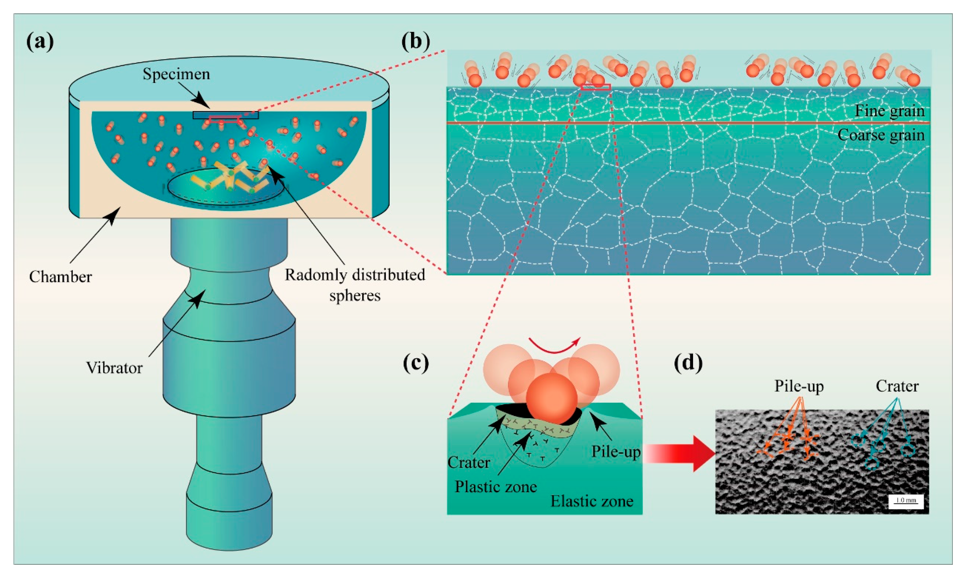 Coatings 14 01382 g001