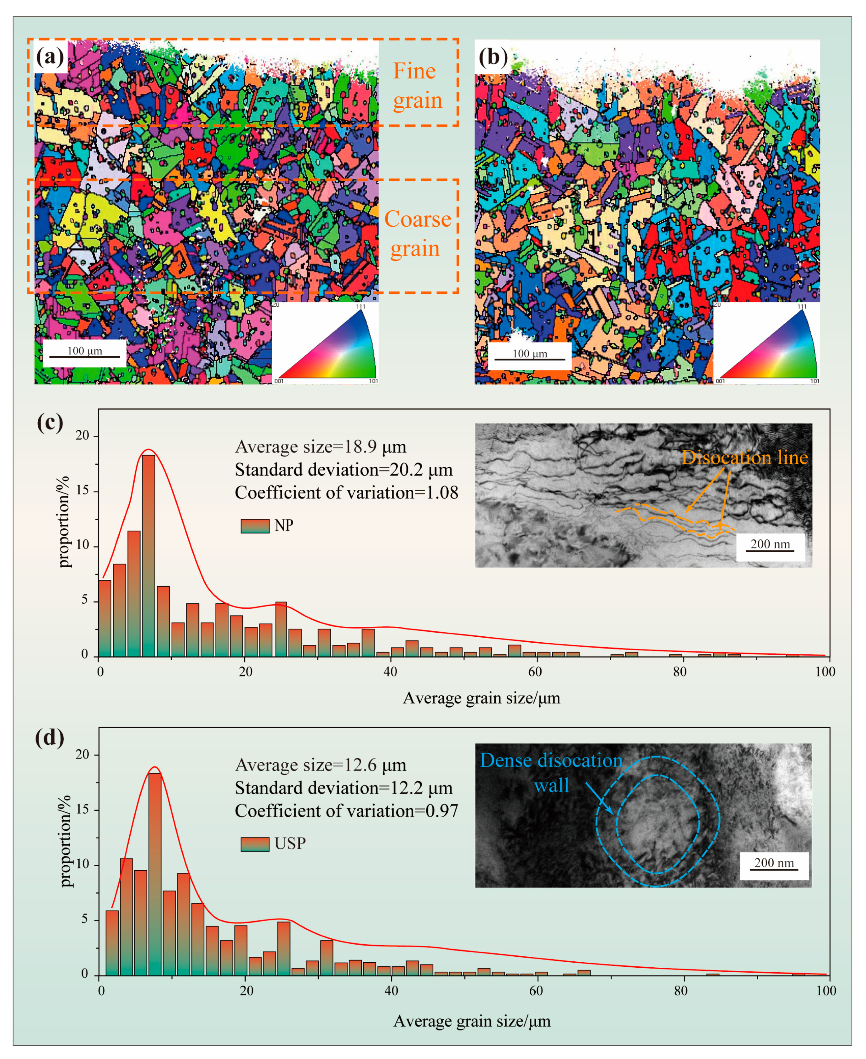 Coatings 14 01382 g002