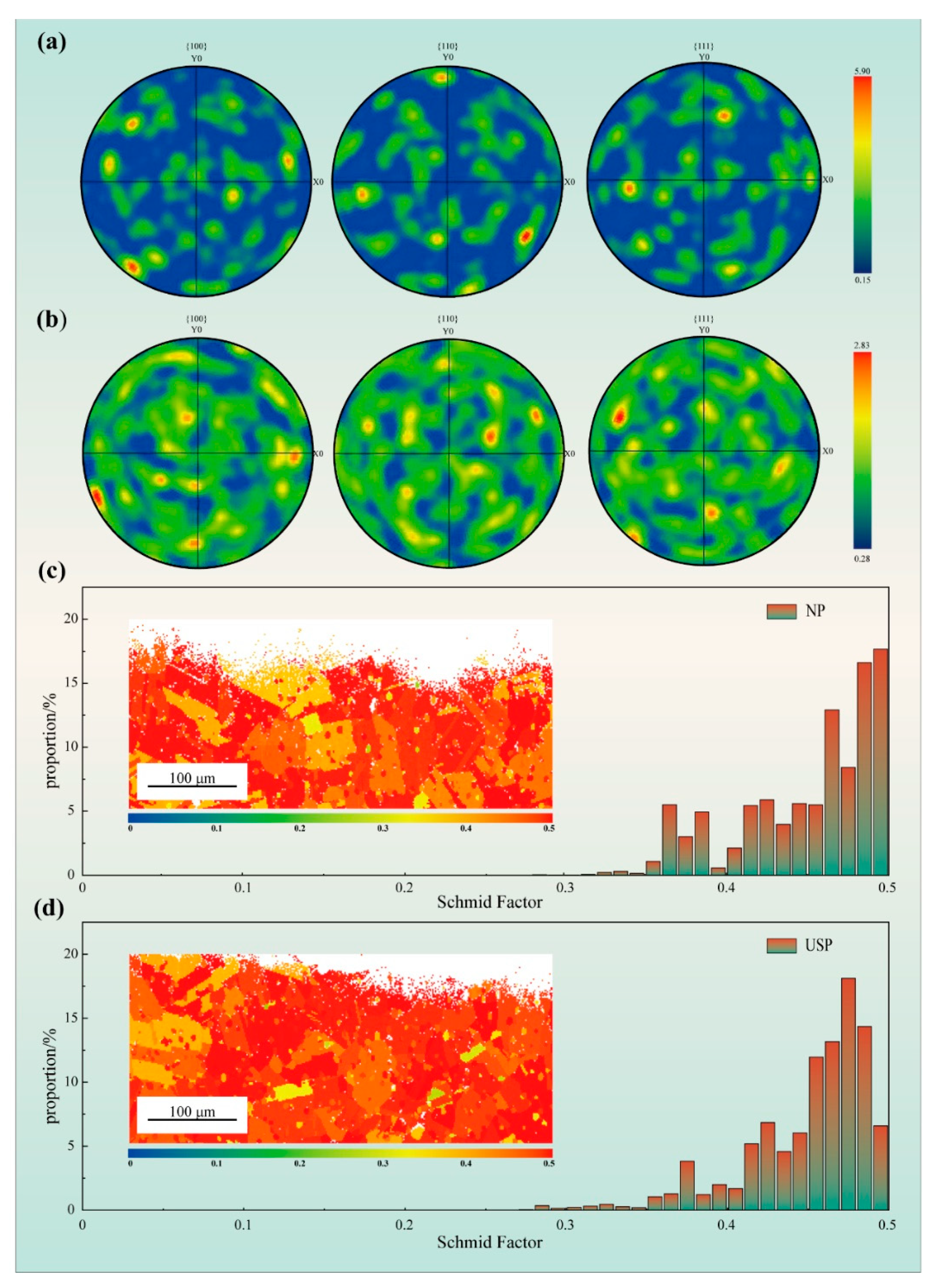 Coatings 14 01382 g003