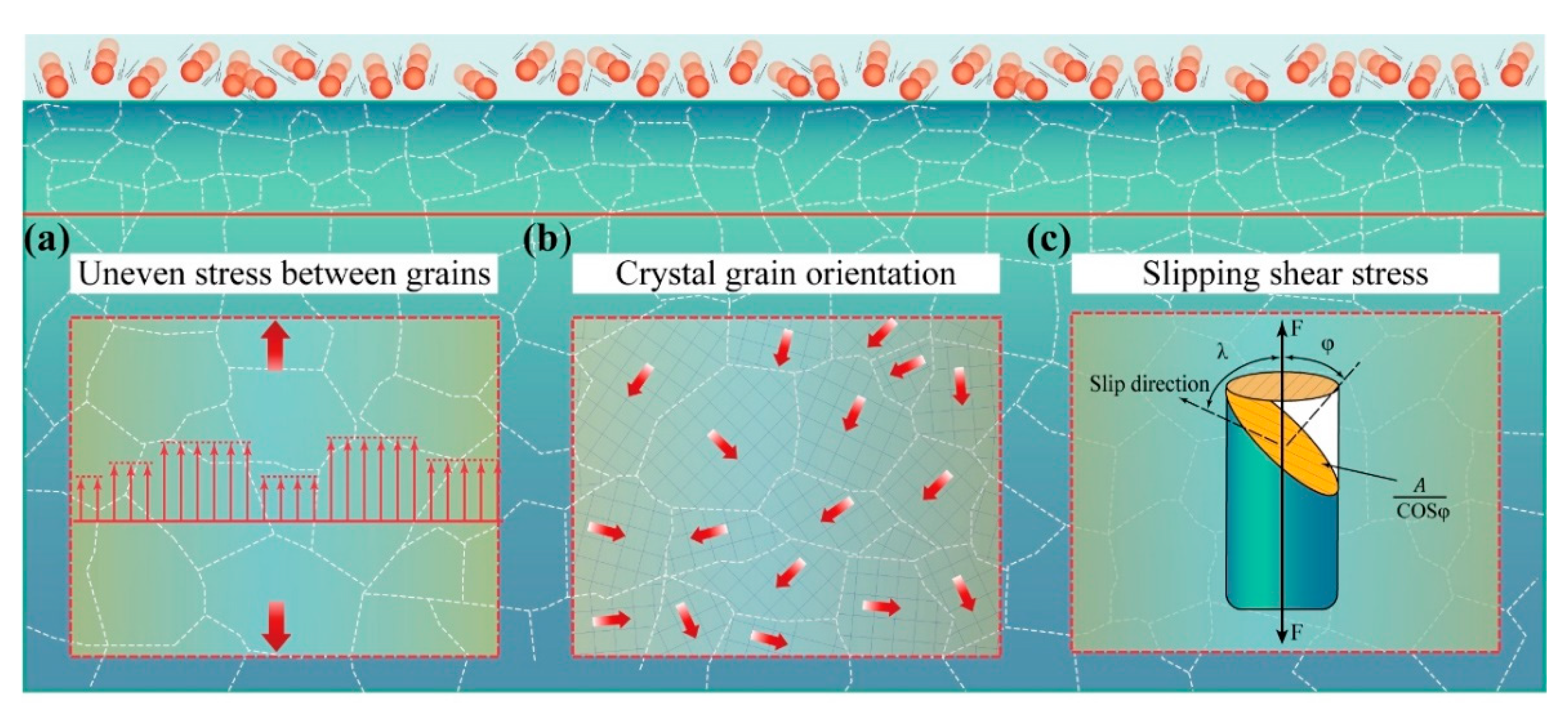Coatings 14 01382 g005