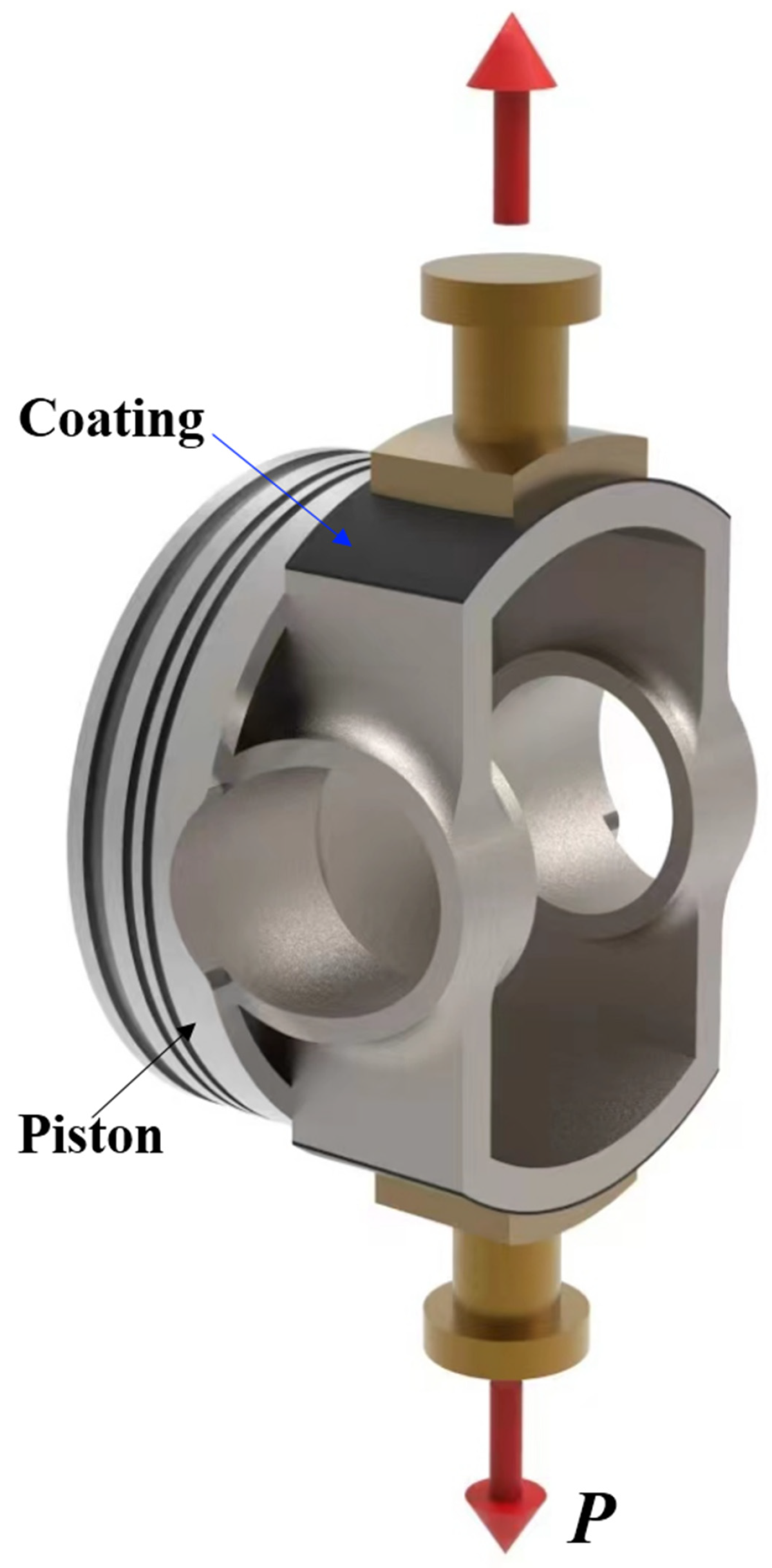 Coatings 14 01385 g006