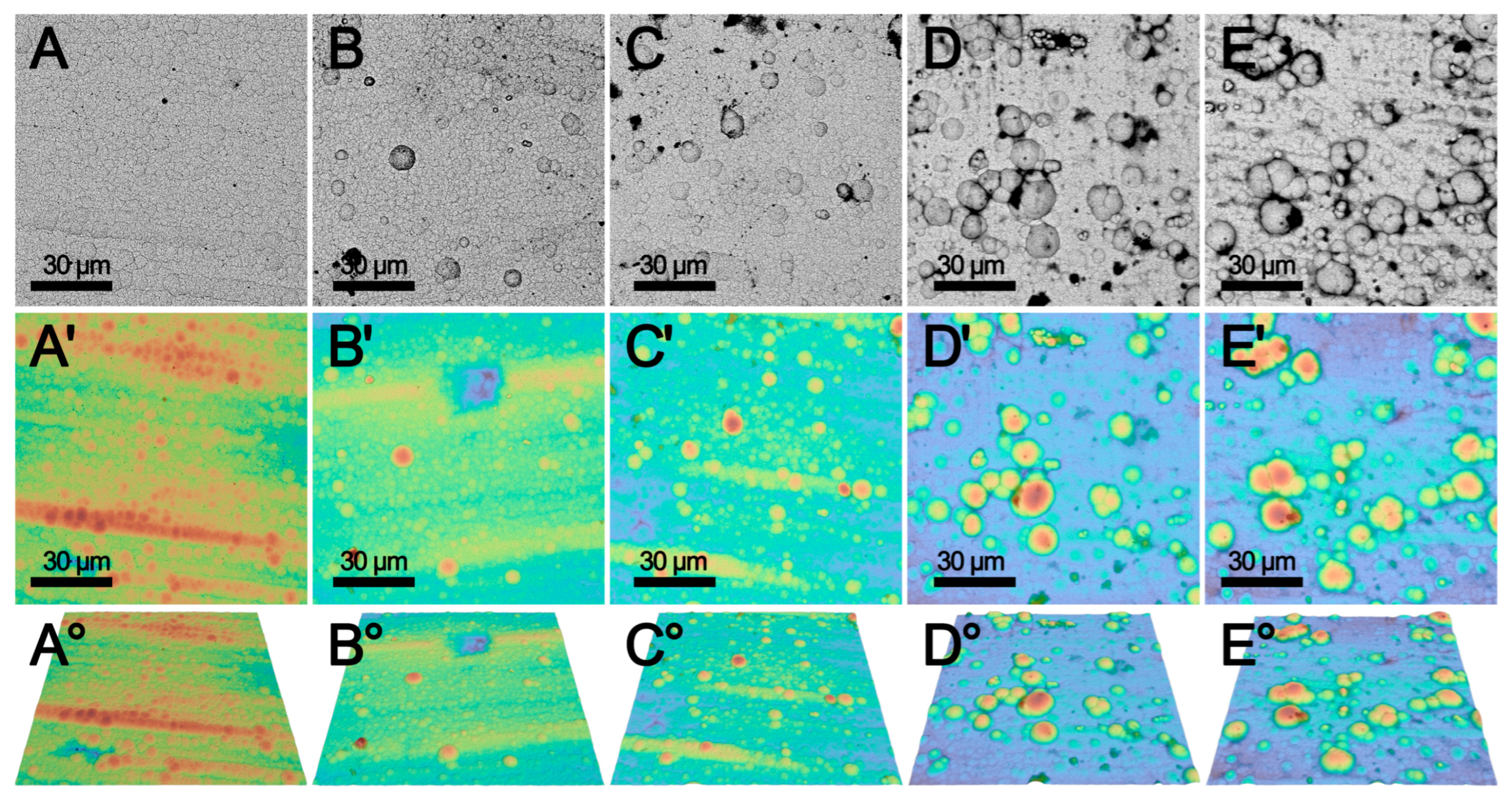 Coatings 14 01386 g006