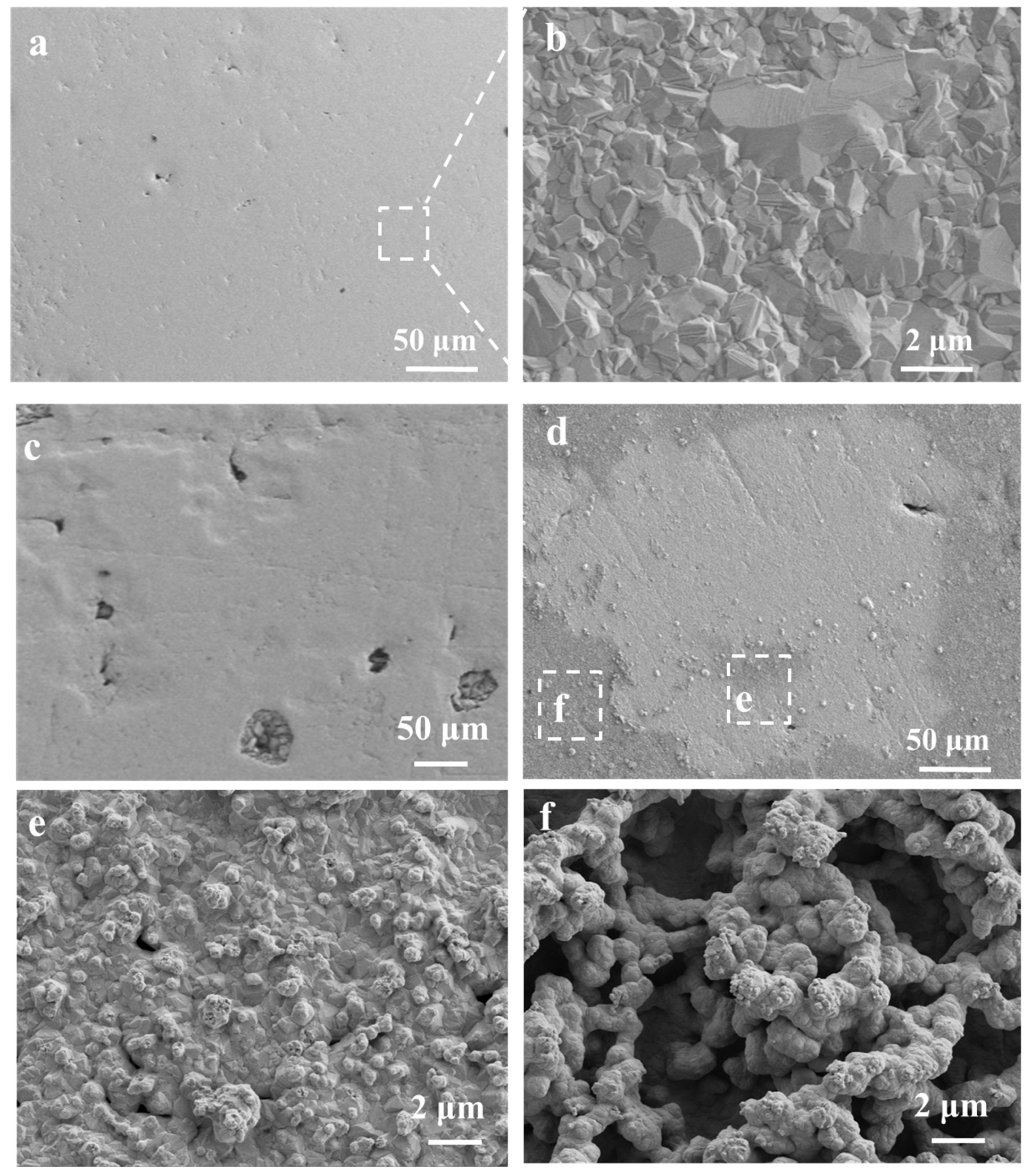 Coatings 14 01388 g008