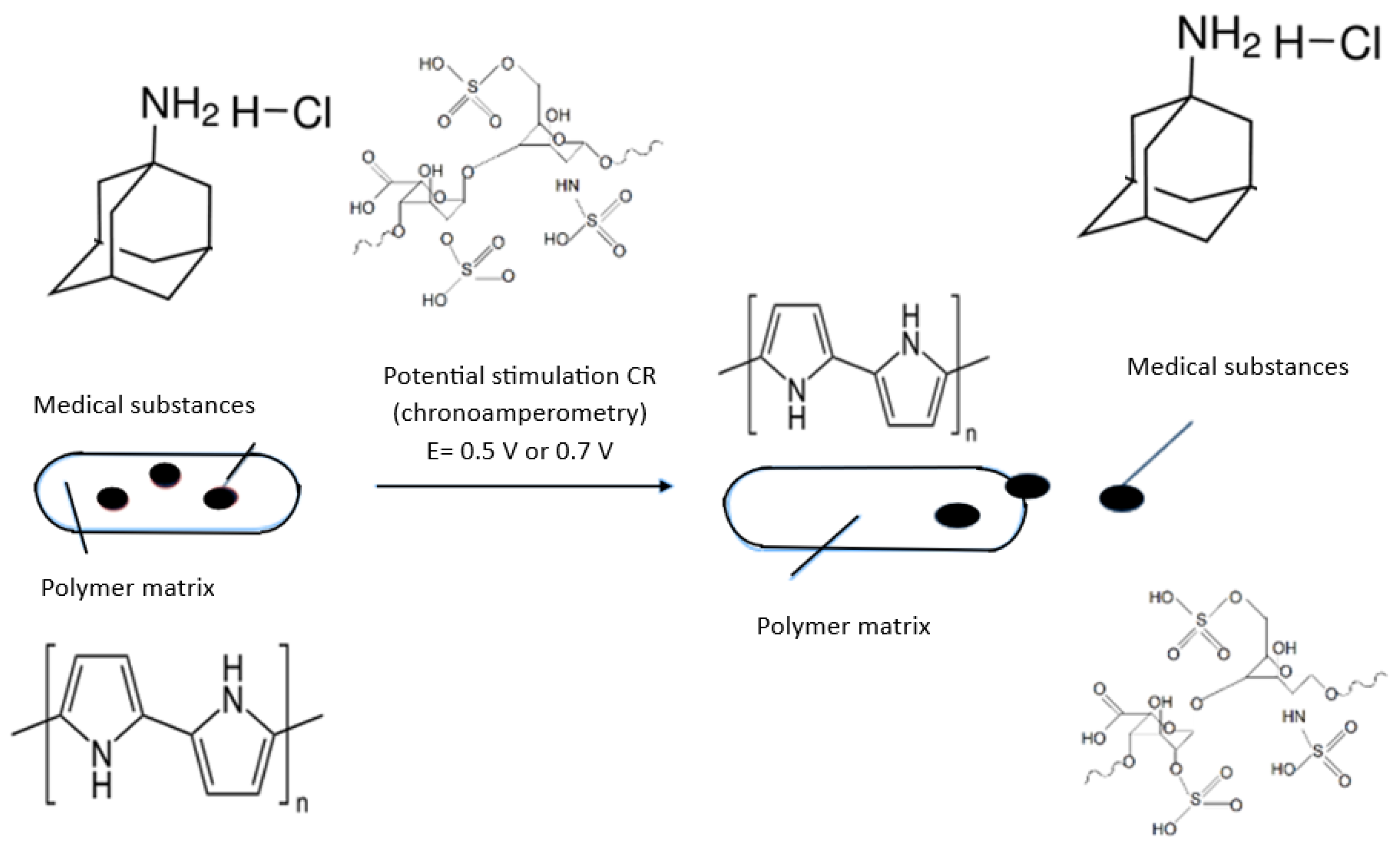 Coatings 14 01389 g001