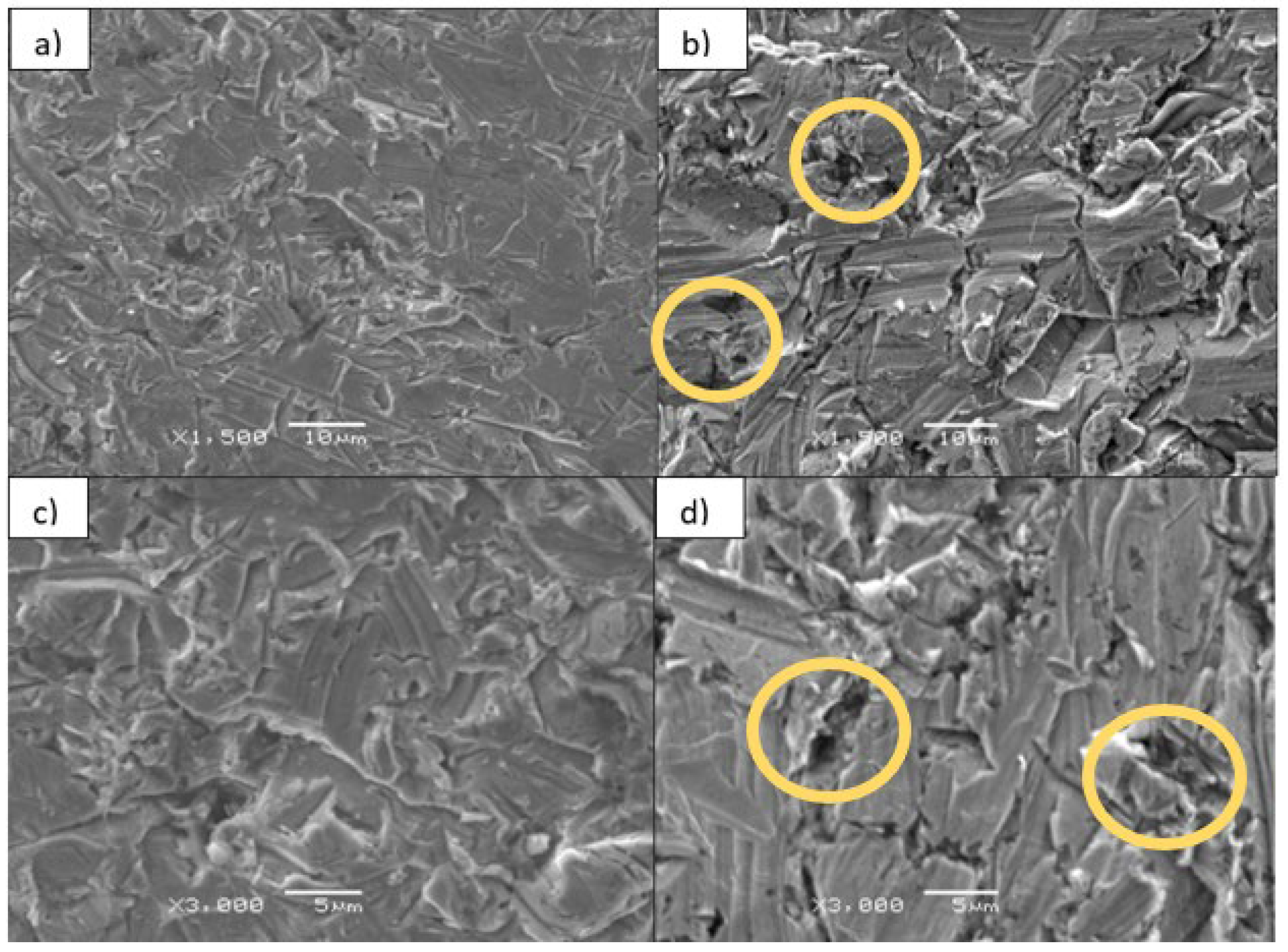 Coatings 14 01389 g004