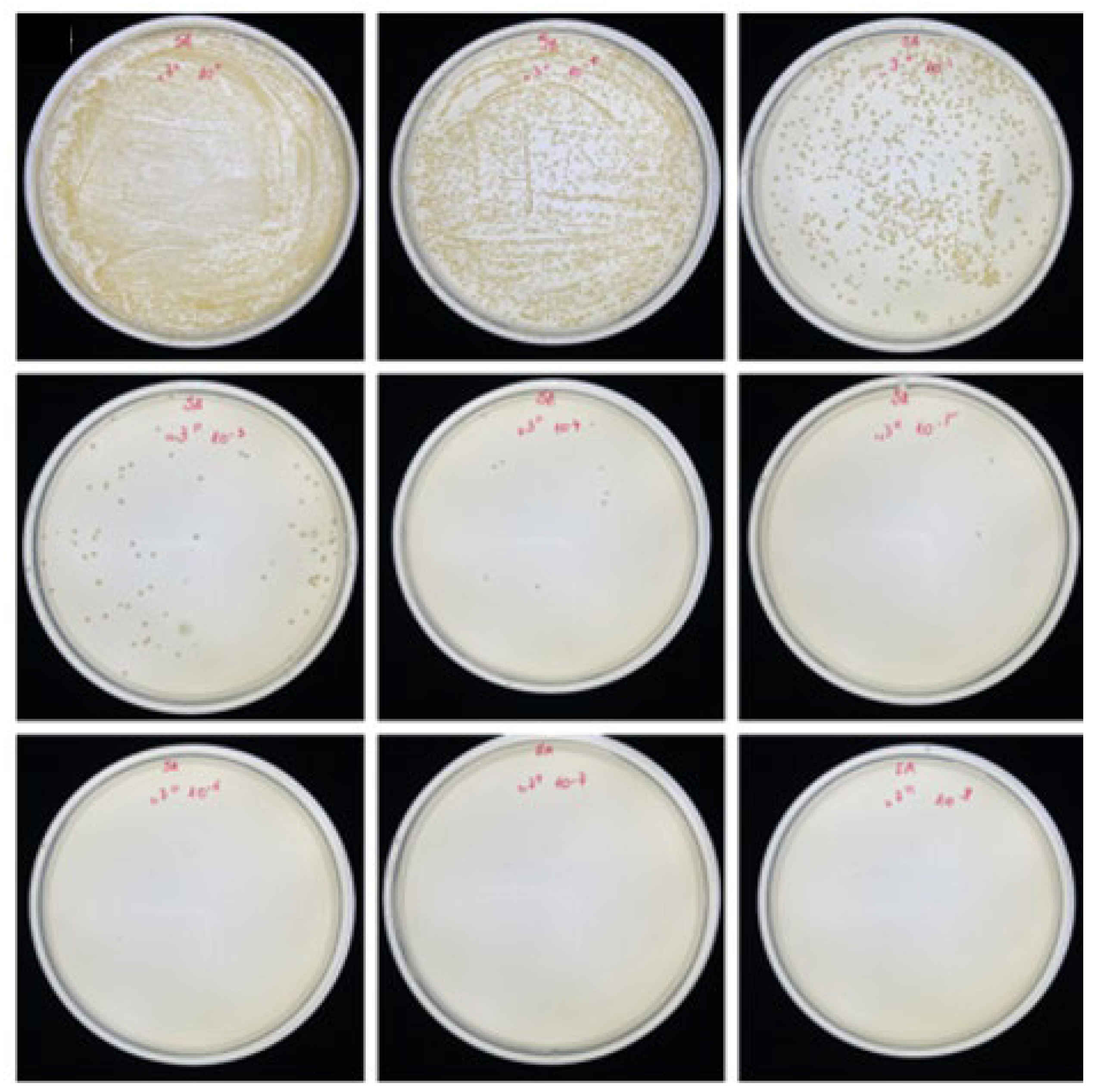 Coatings 14 01389 g009