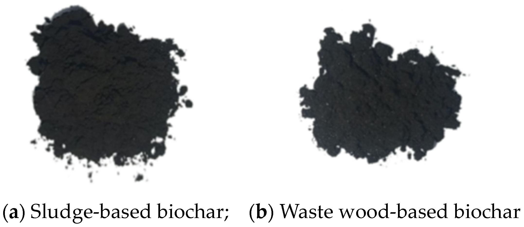 Coatings 14 01390 g002