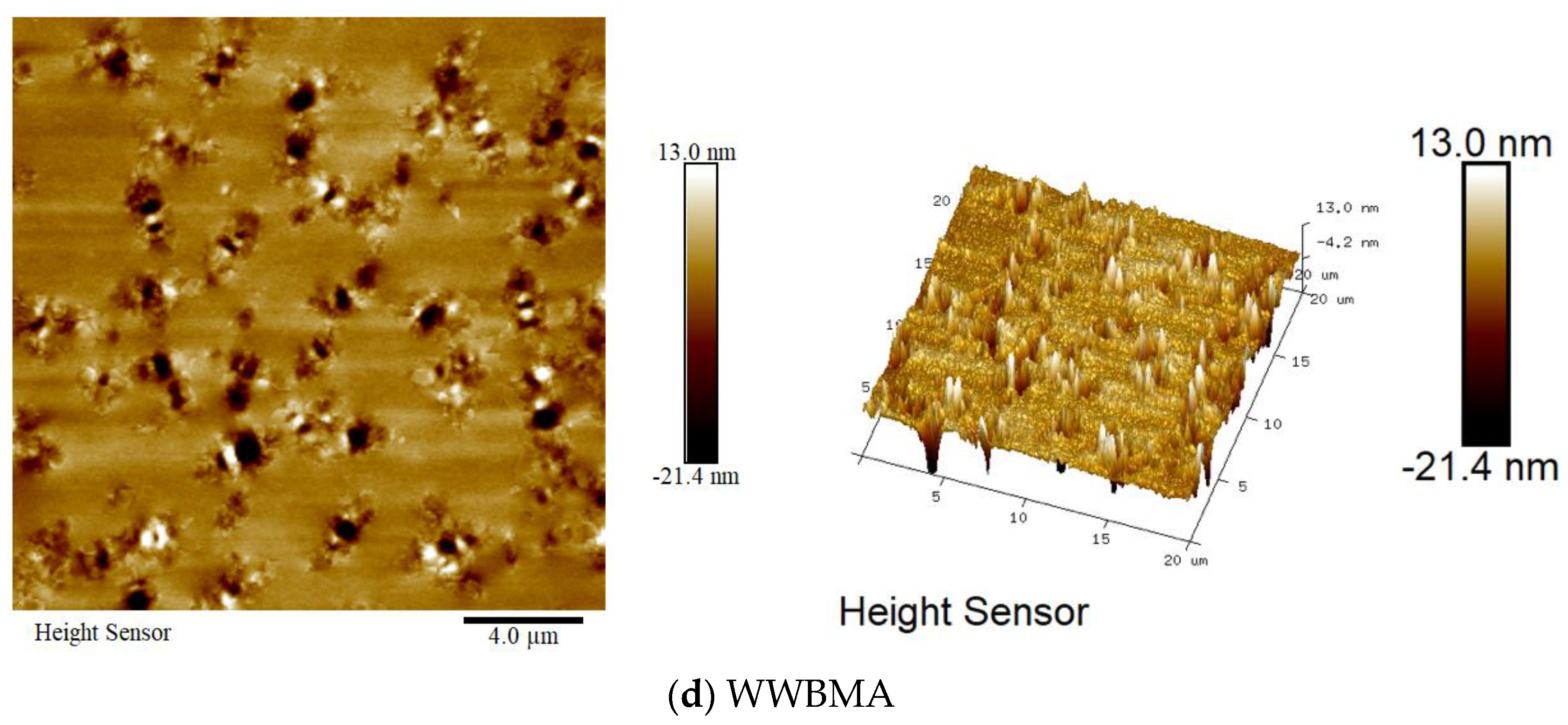 Coatings 14 01390 g008b