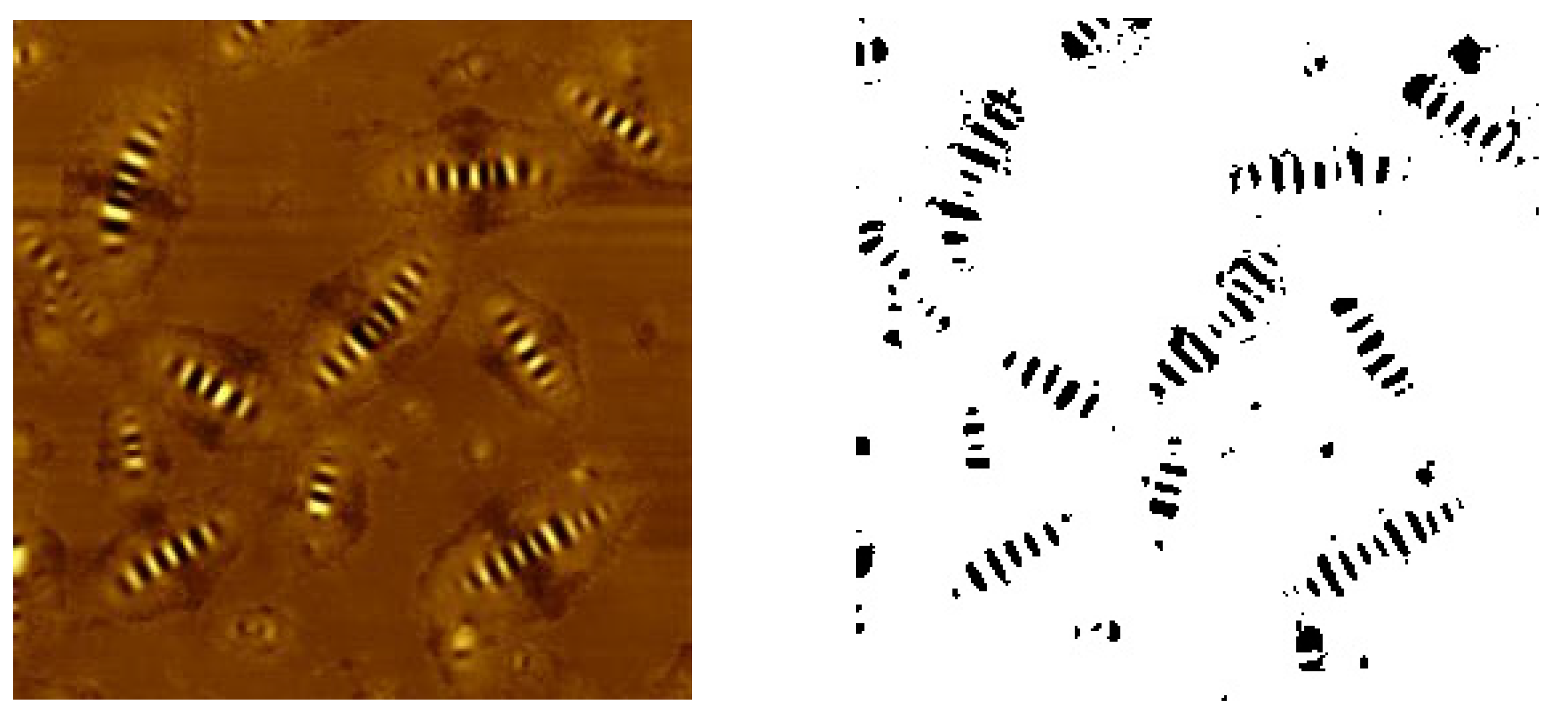 Coatings 14 01390 g009