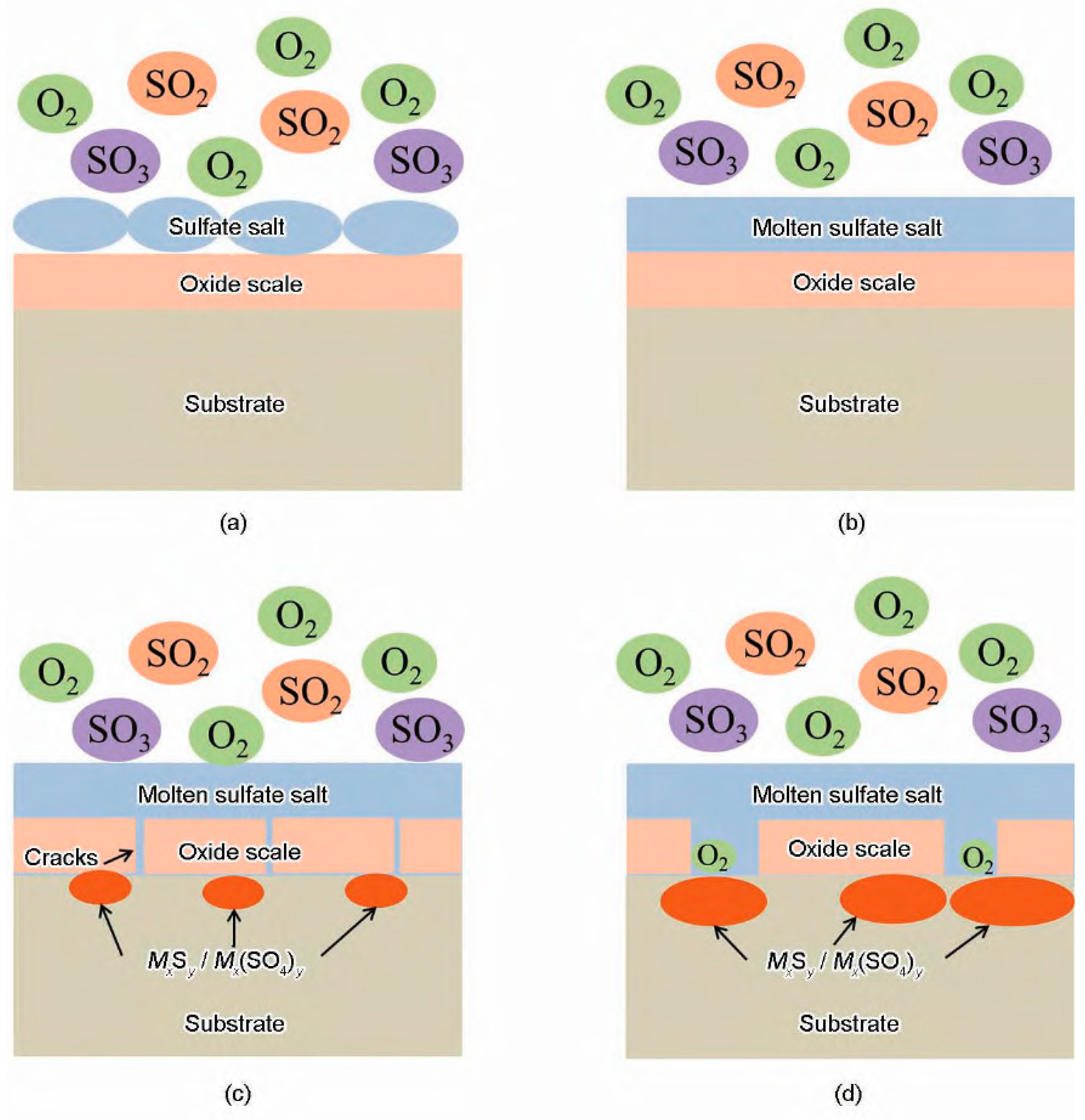 Coatings 14 01391 g005
