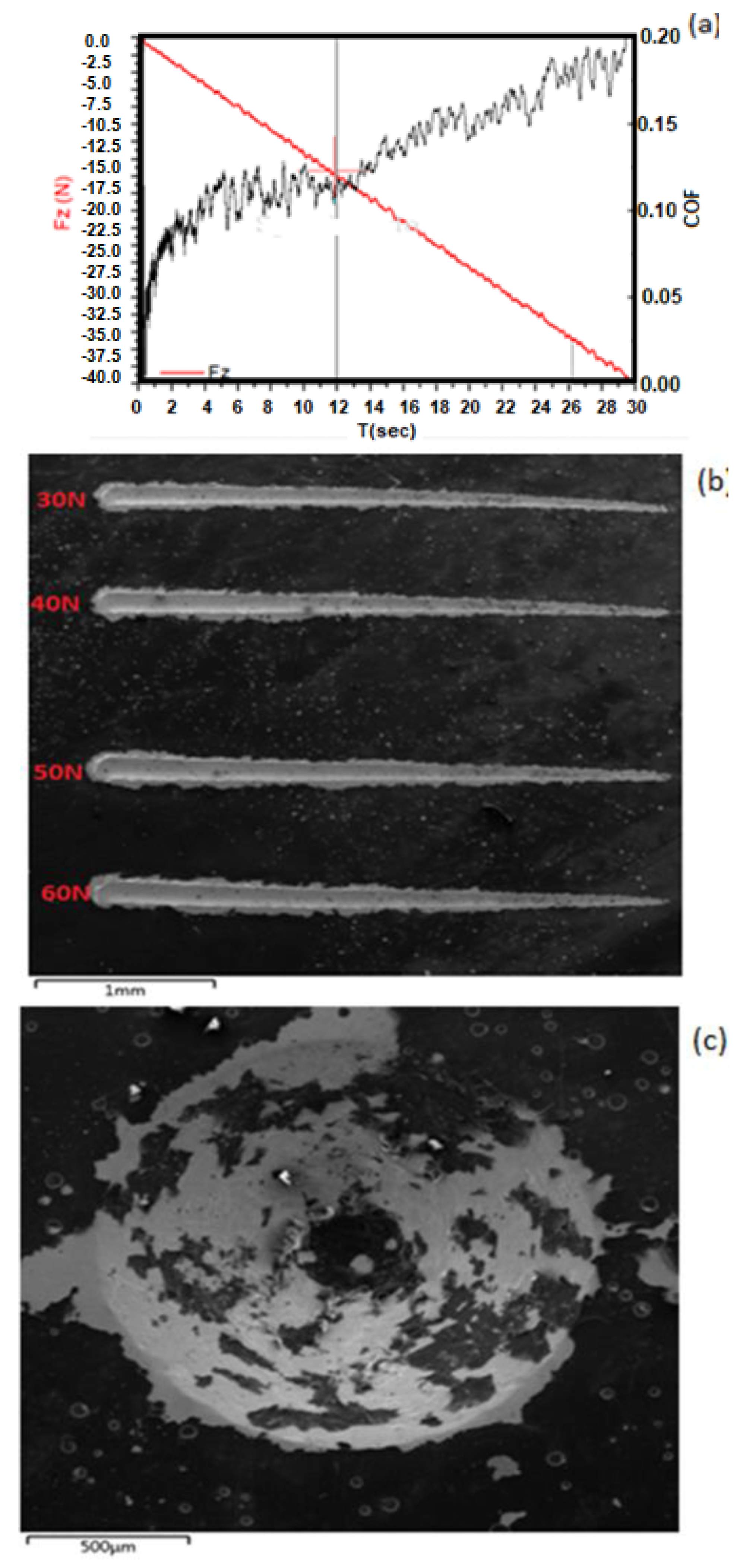 Coatings 14 01393 g007