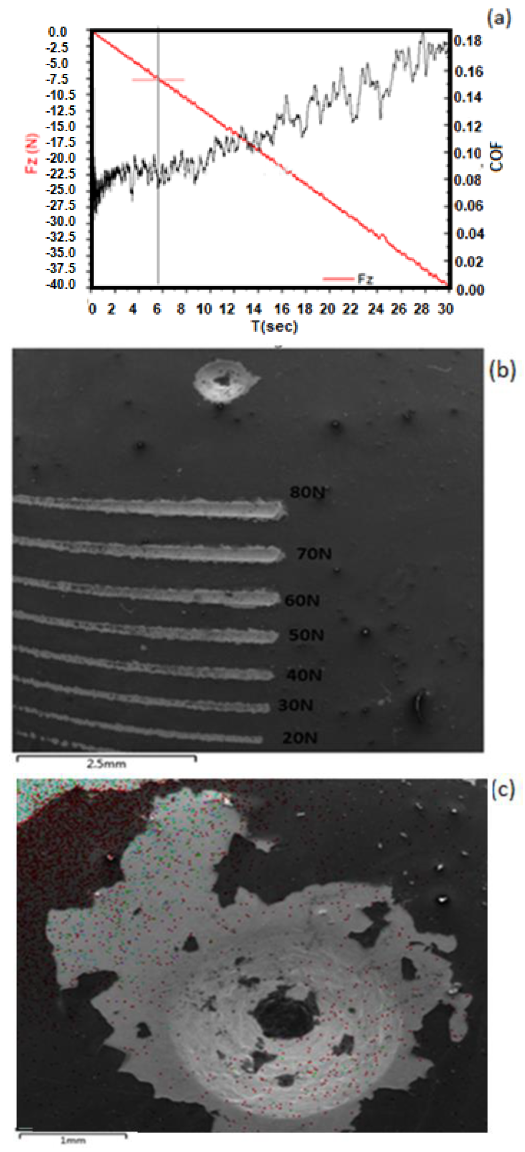 Coatings 14 01393 g009