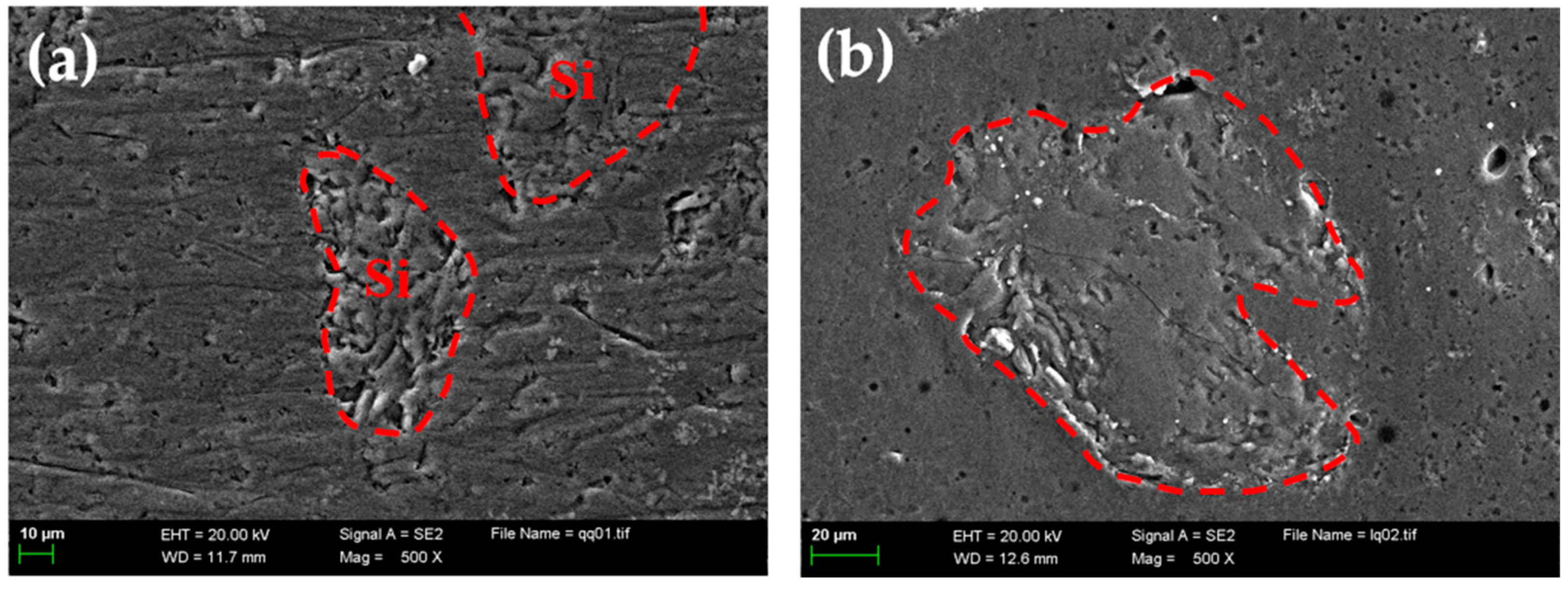Coatings 14 01398 g007