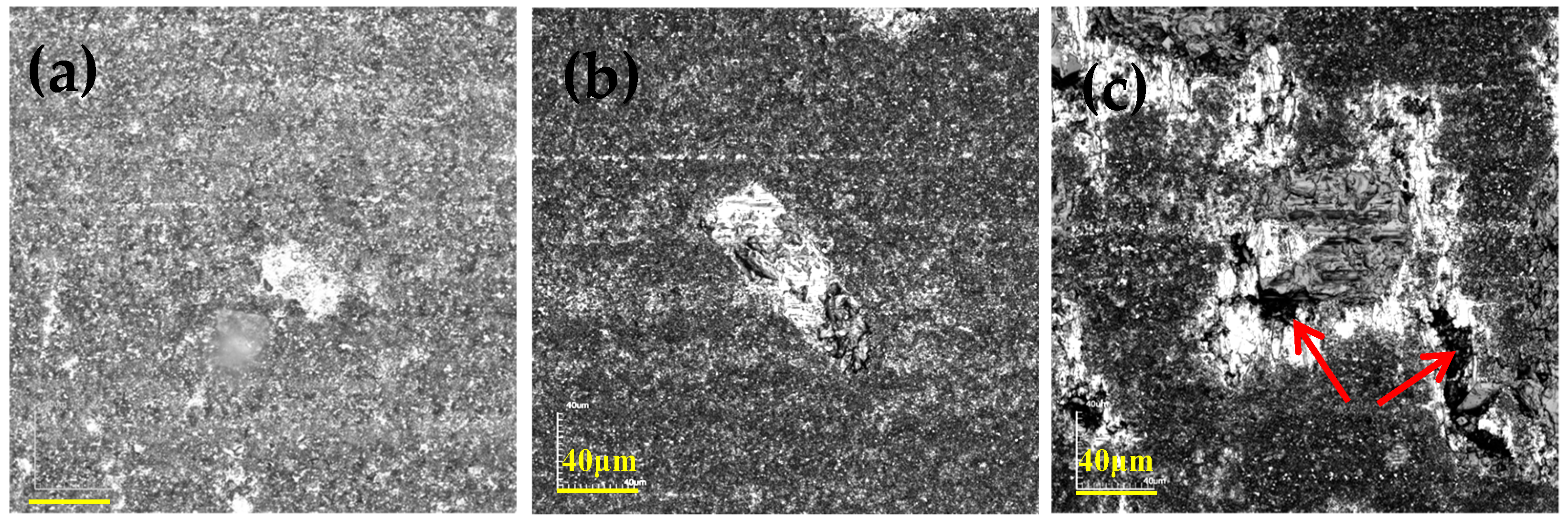 Coatings 14 01398 g008