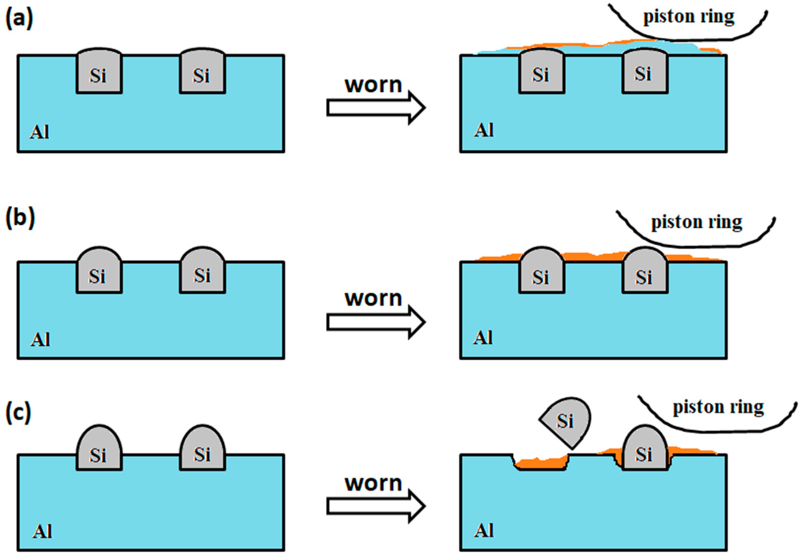 Coatings 14 01398 g014