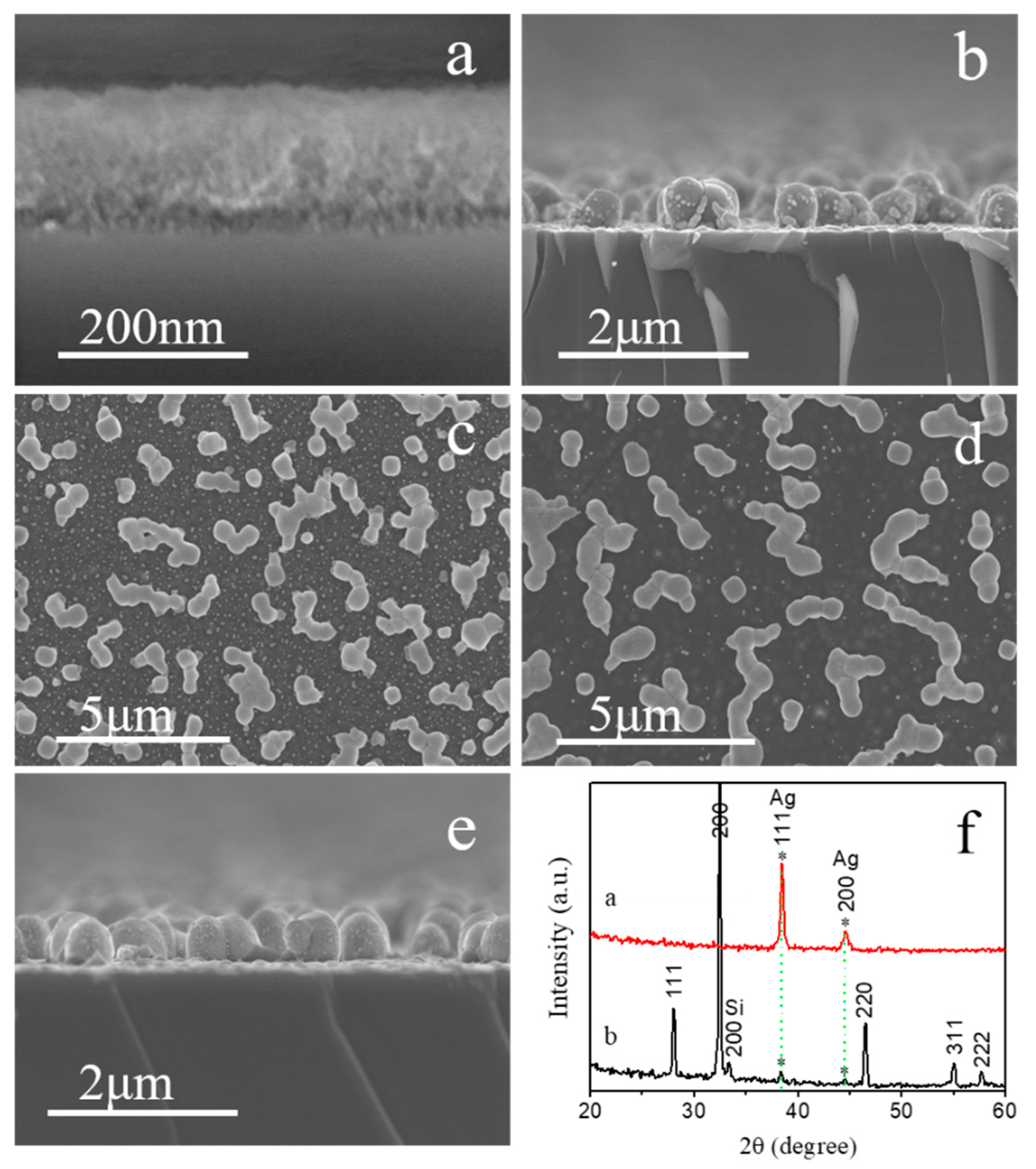 Coatings 14 01405 g001
