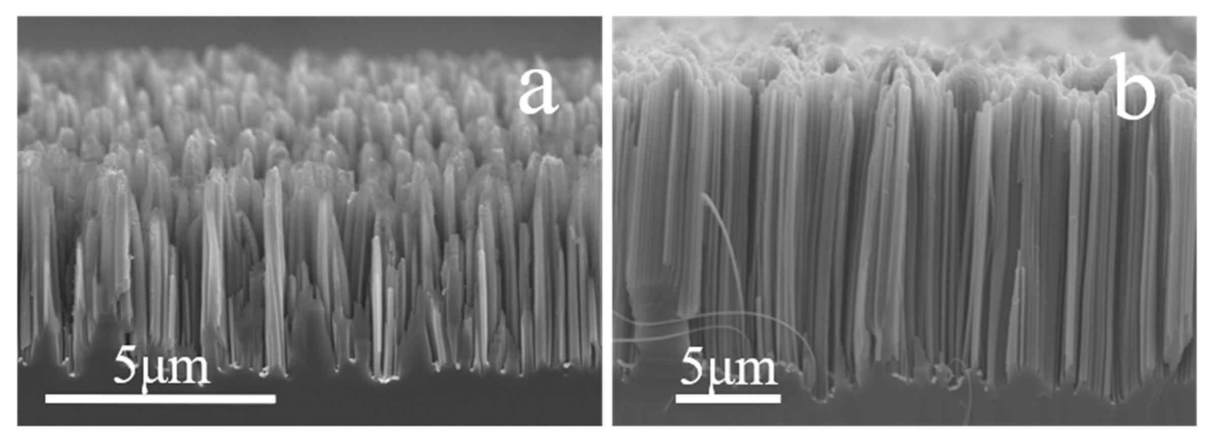 Coatings 14 01405 g003