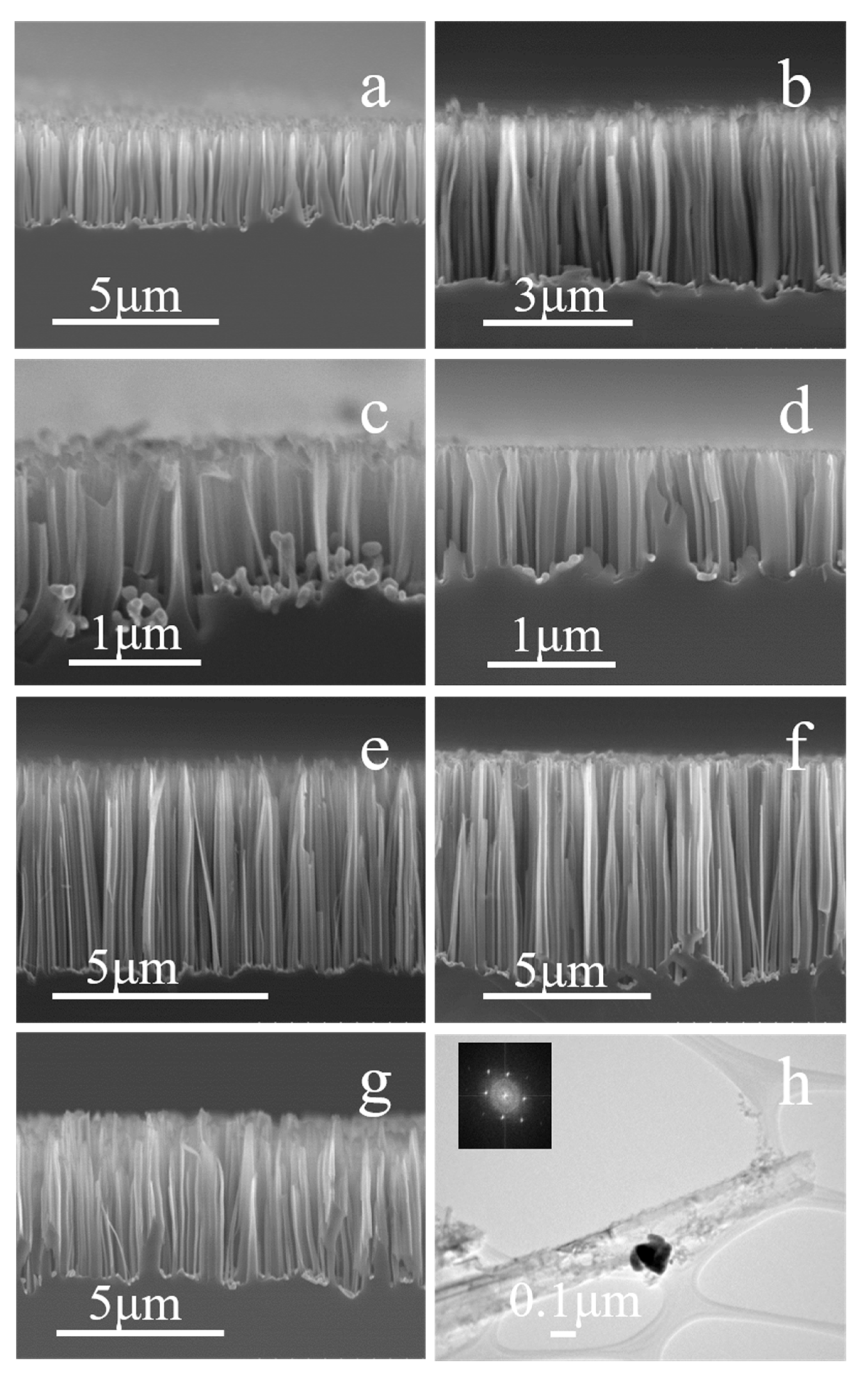 Coatings 14 01405 g004