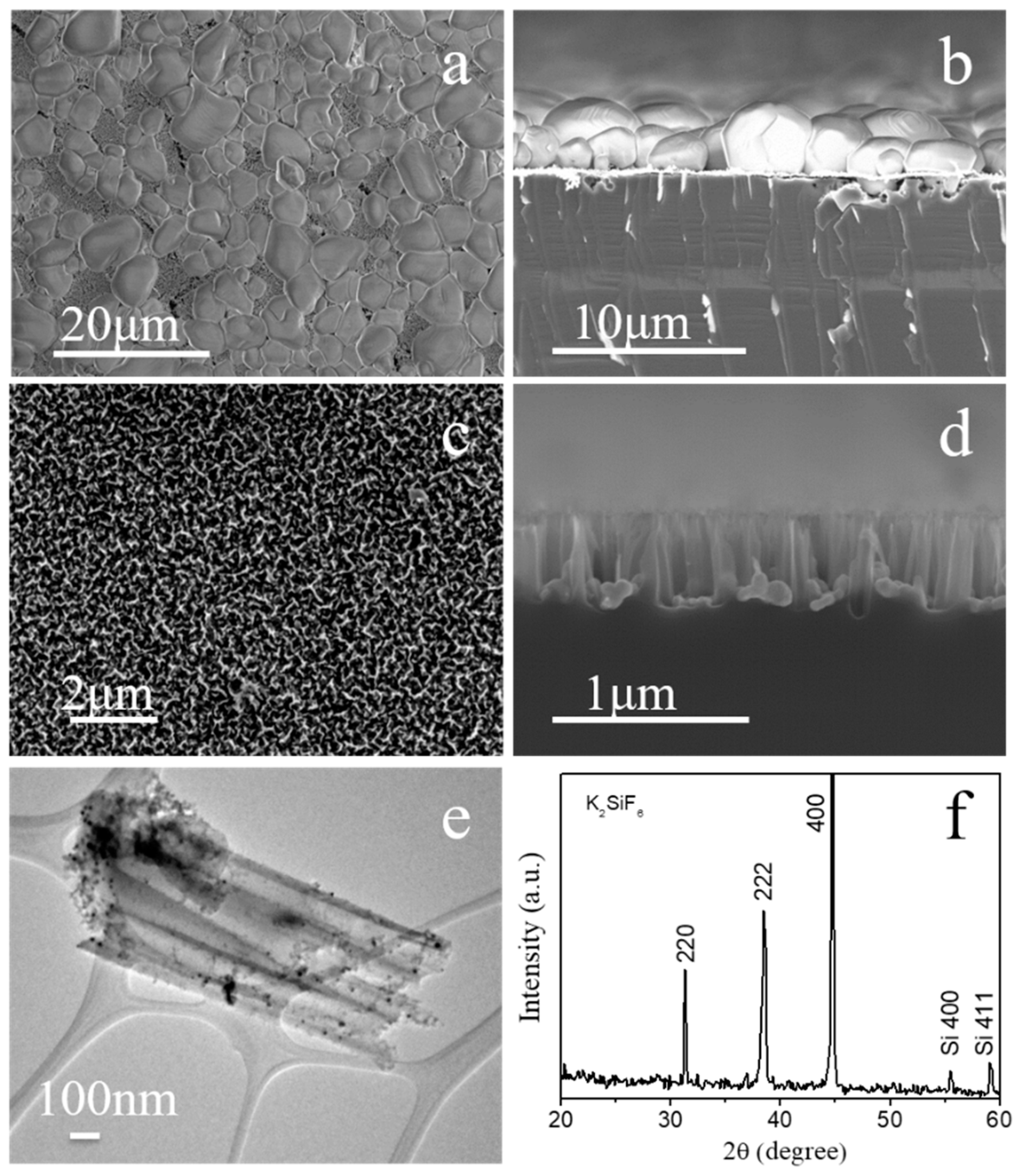 Coatings 14 01405 g005