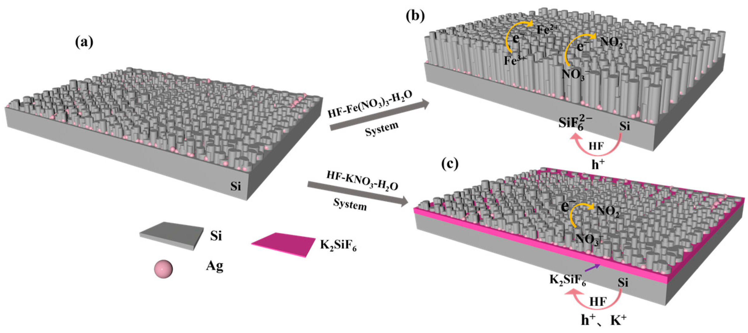 Coatings 14 01405 g006